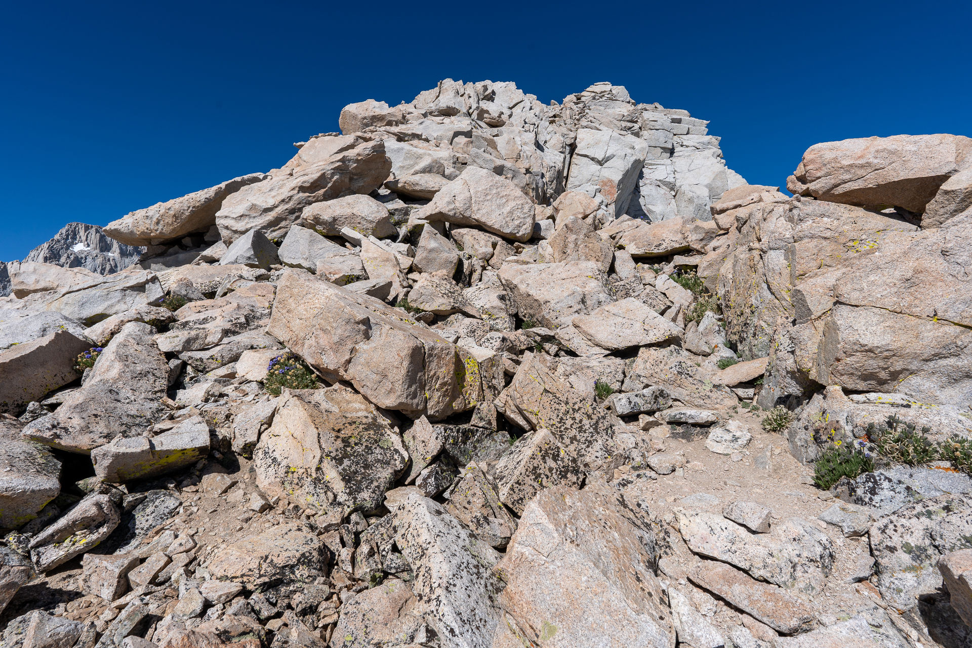 Trip report photo for Mount Russell and Mount Carillon