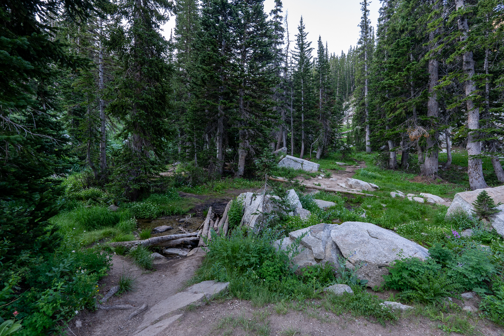 Trip report photo for Pfeifferhorn and White Baldy Loop