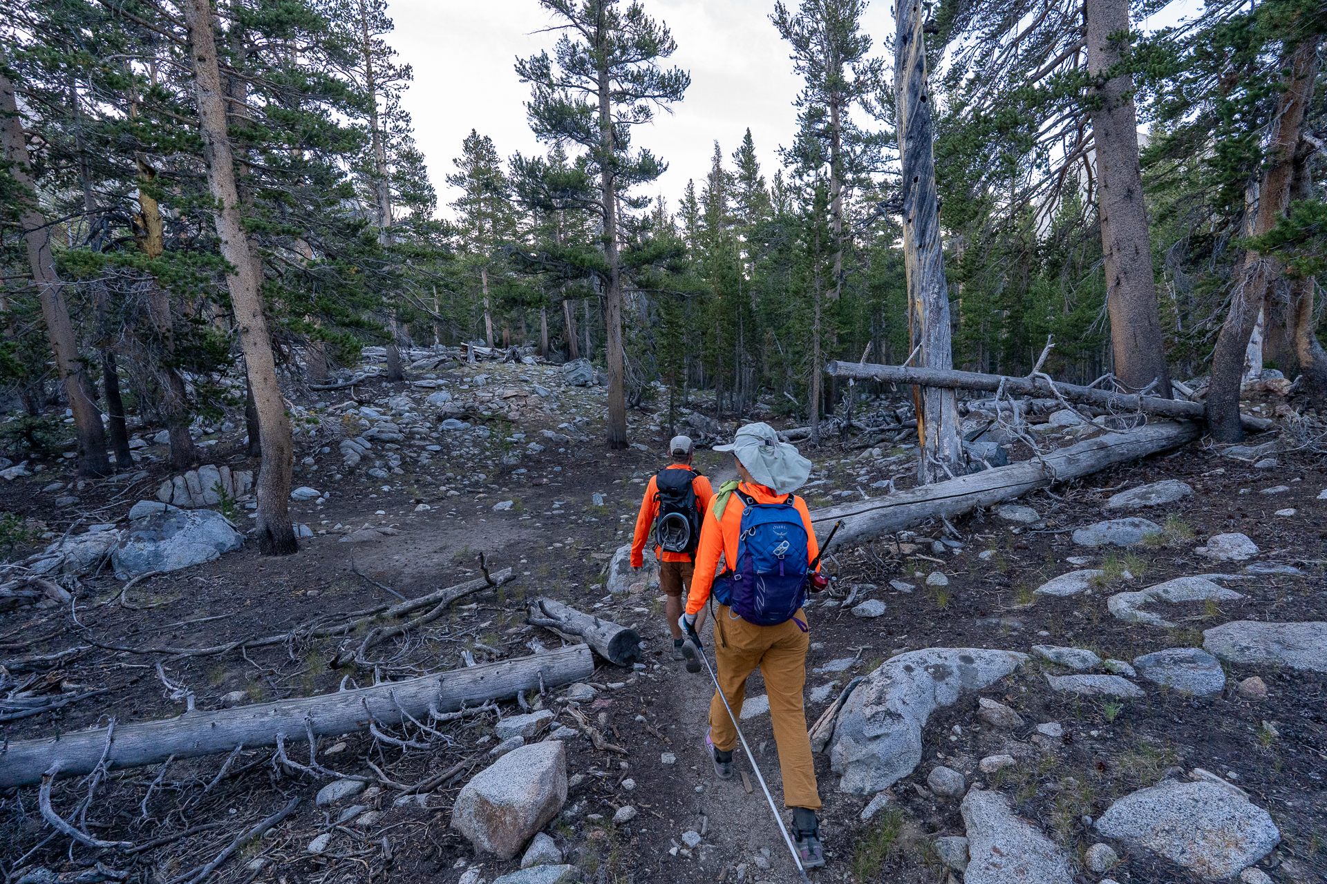 Picture Puzzle Peak, Gendarme Peak, and Aperture Peak