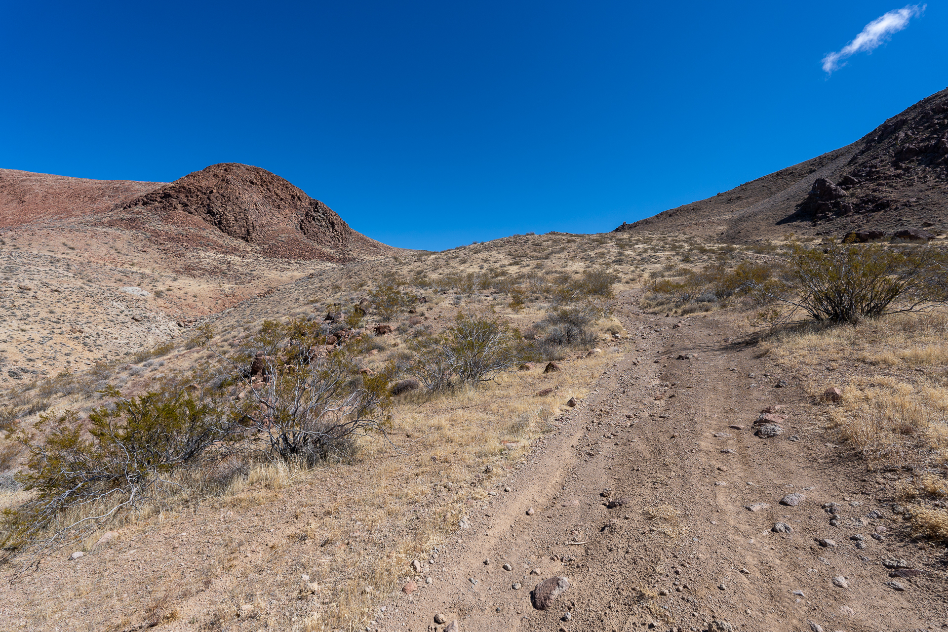 Red Mountain