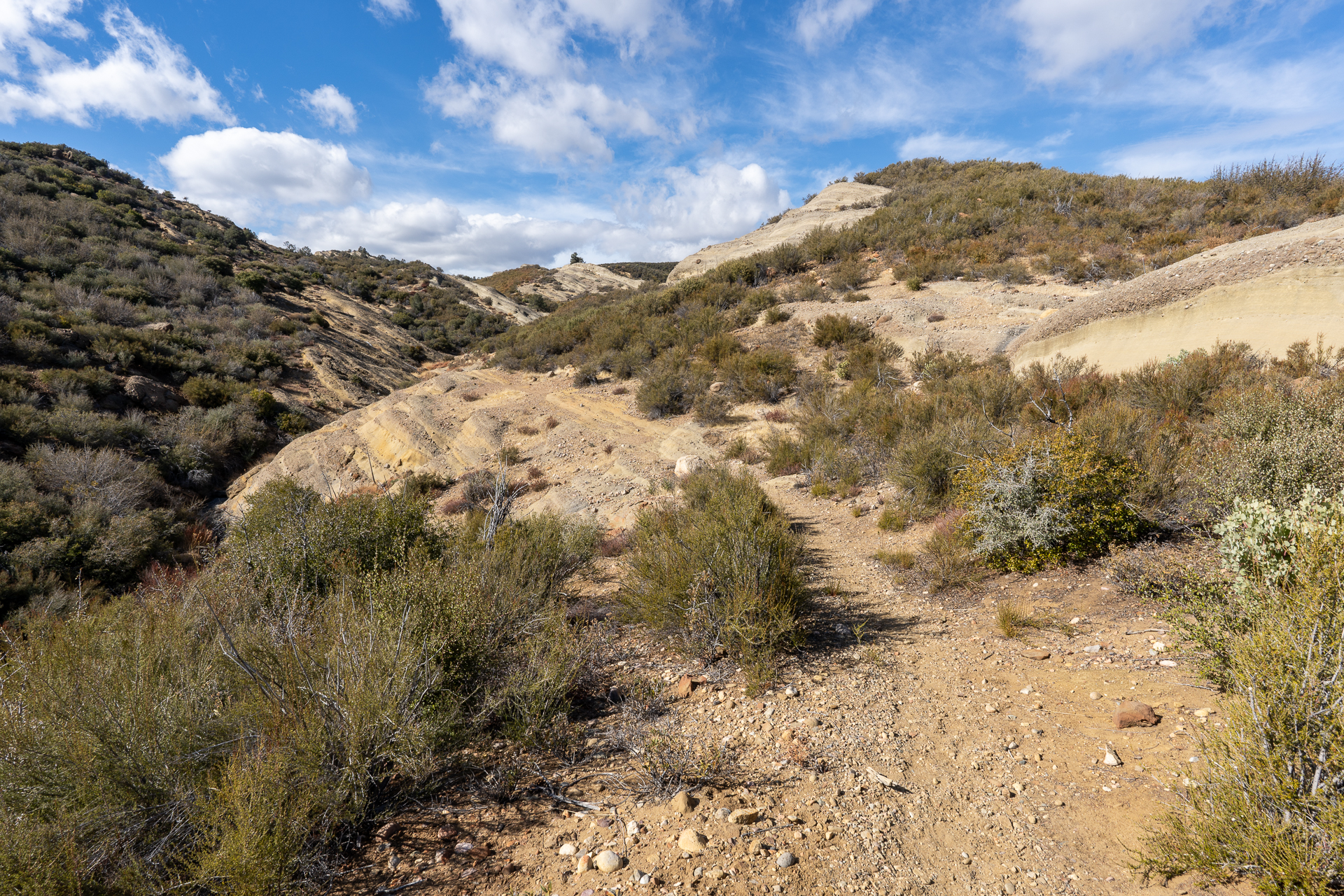 Reyes Peak via Chorro Grande Trail