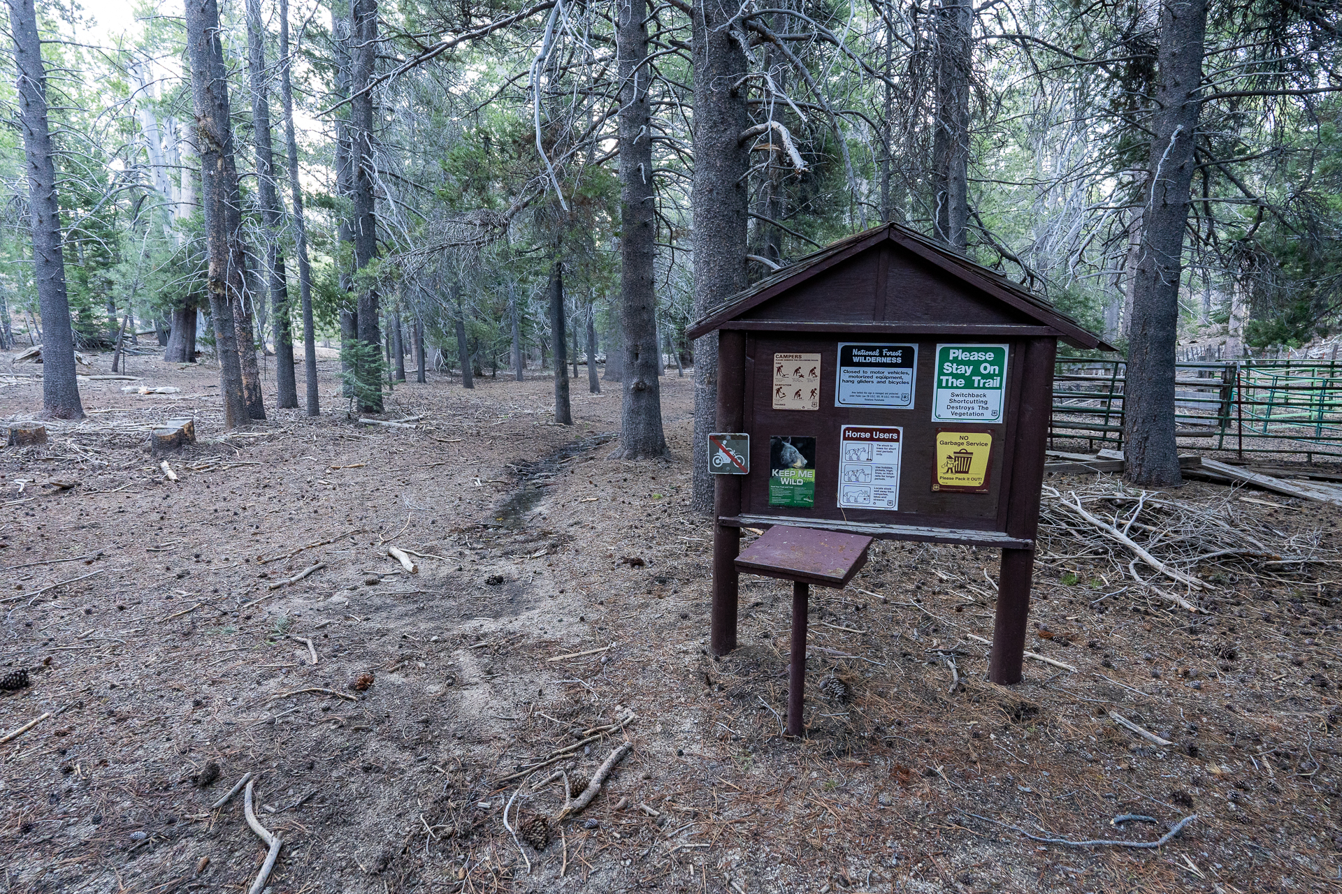 Trip report photo for Rockhouse Peak and Taylor Dome