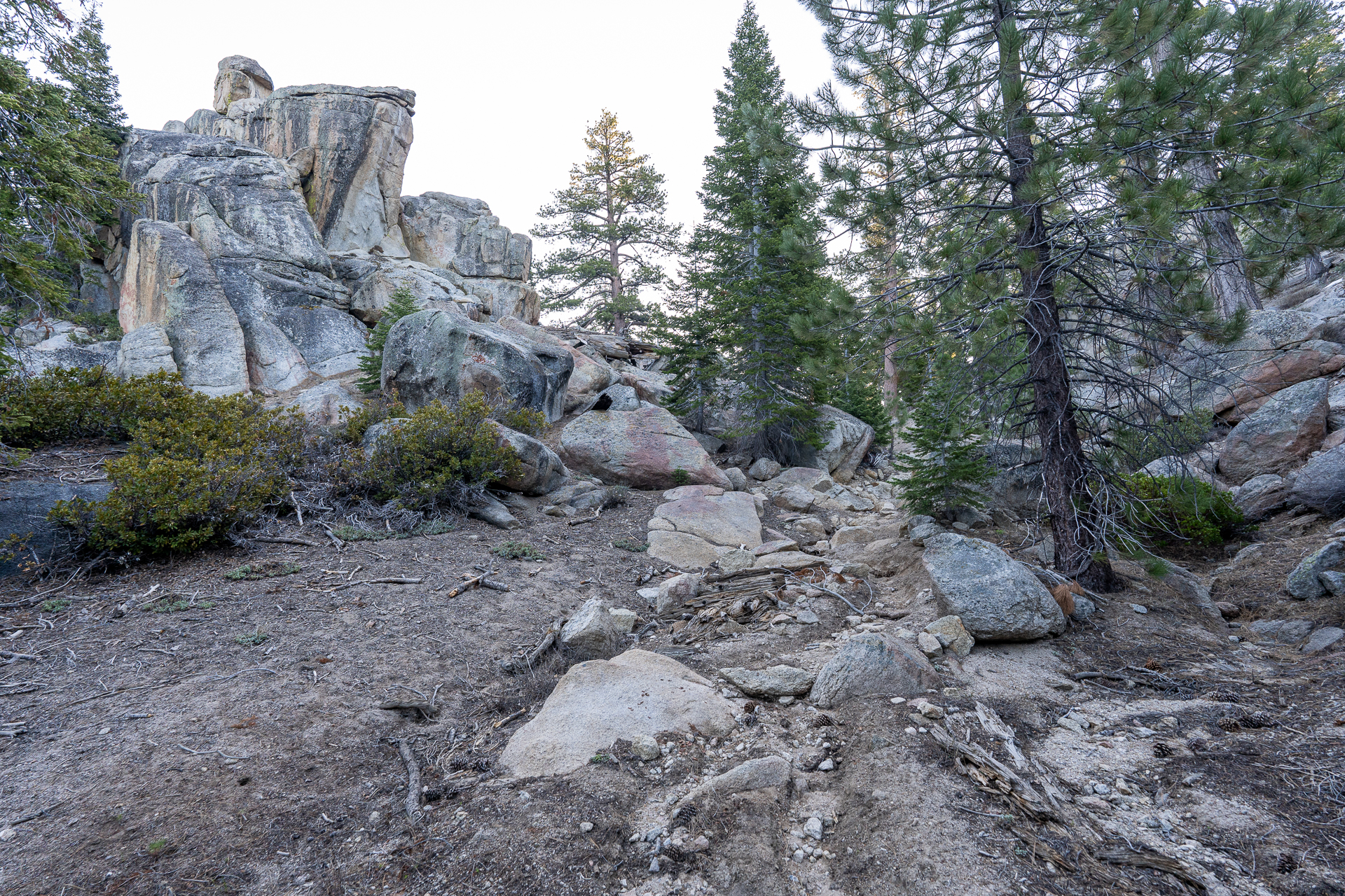 Trip report photo for Rockhouse Peak and Taylor Dome