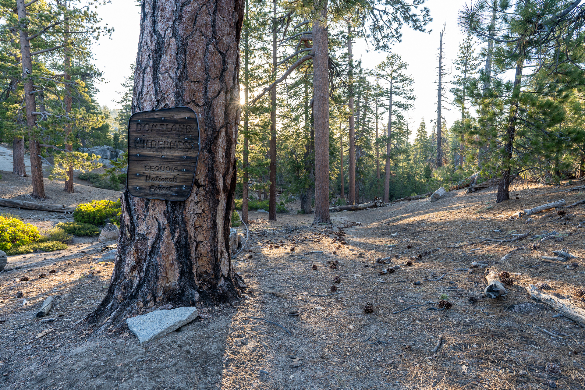 Trip report photo for Rockhouse Peak and Taylor Dome
