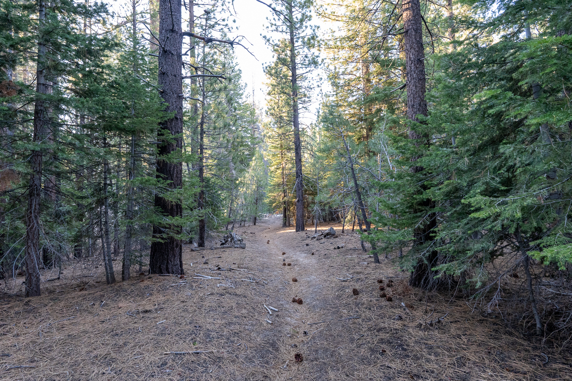 Trip report photo for Rockhouse Peak and Taylor Dome