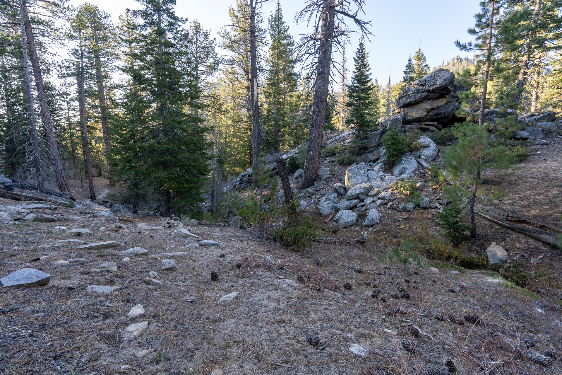 Trip report photo for Rockhouse Peak and Taylor Dome
