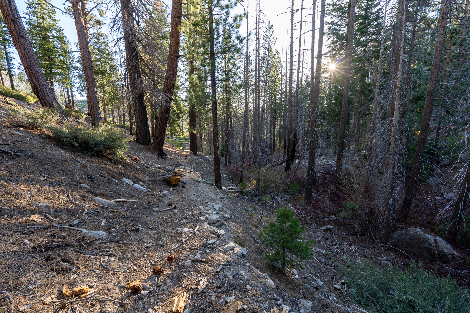 Trip report photo for Rockhouse Peak and Taylor Dome