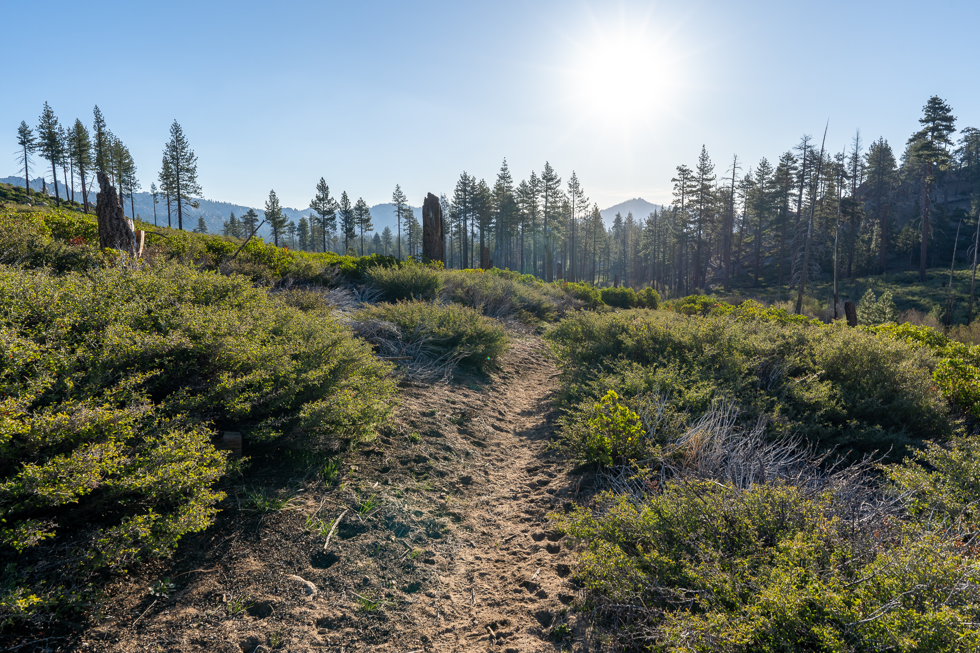 Trip report photo for Rockhouse Peak and Taylor Dome