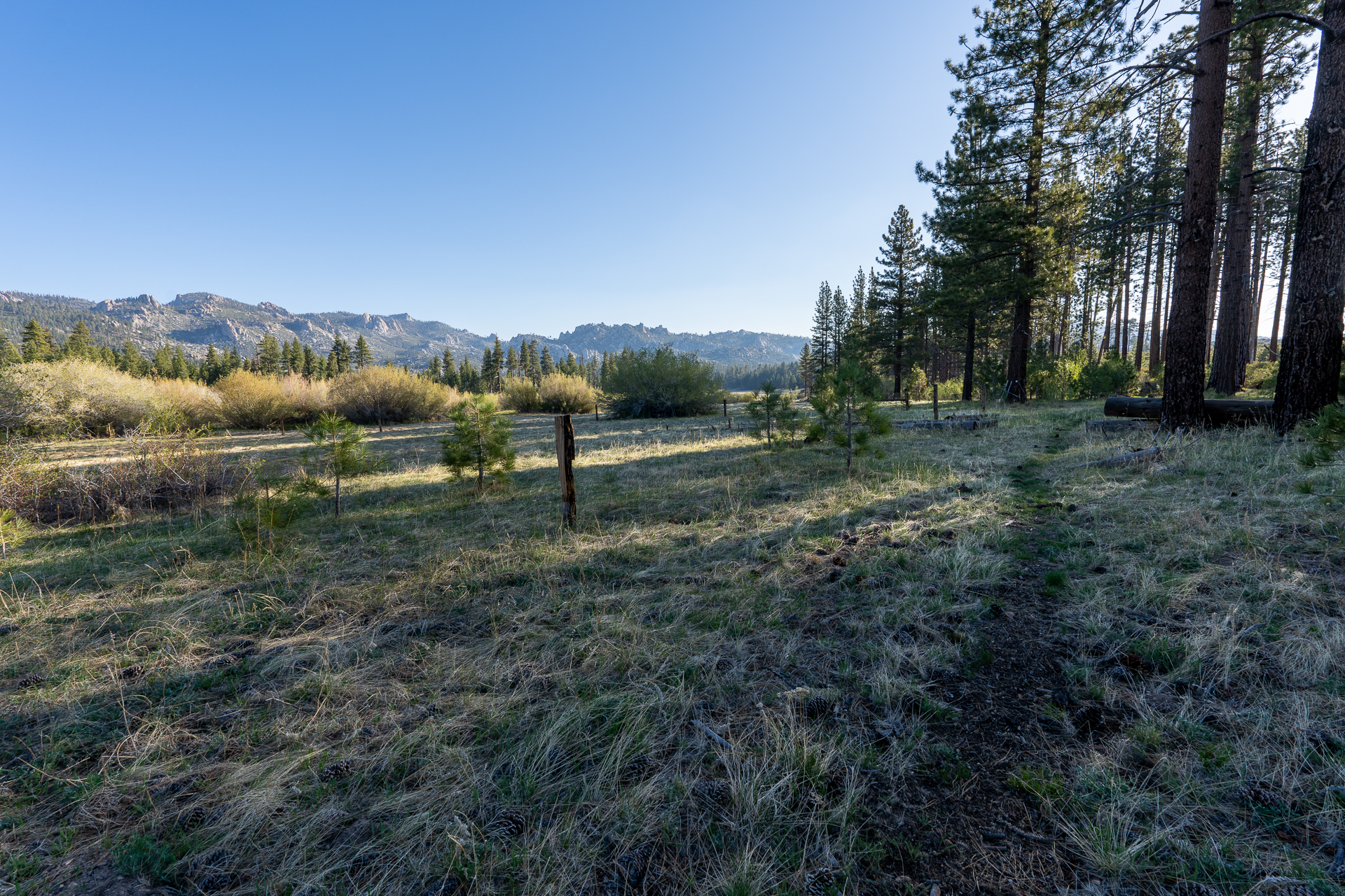 Trip report photo for Rockhouse Peak and Taylor Dome