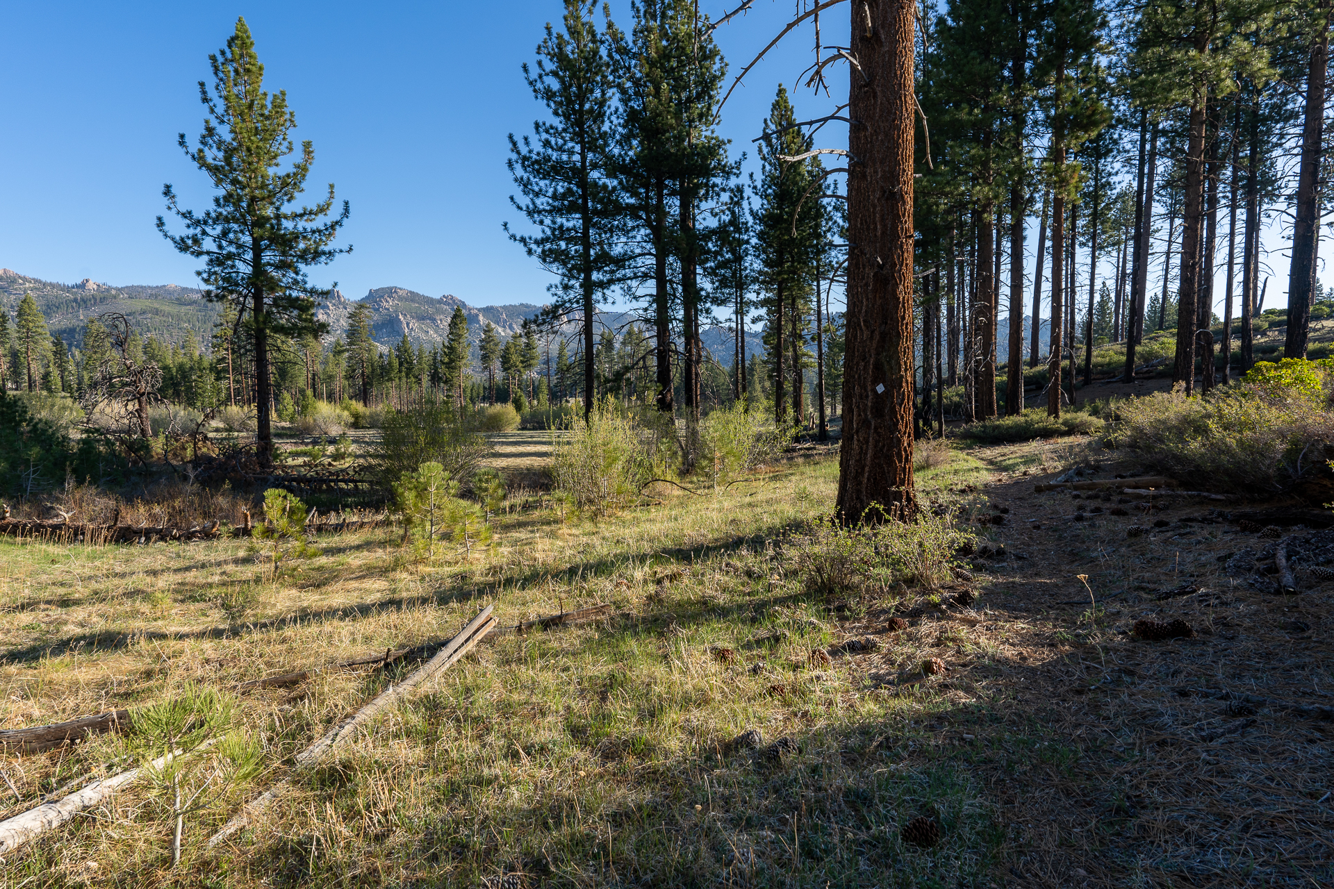 Trip report photo for Rockhouse Peak and Taylor Dome