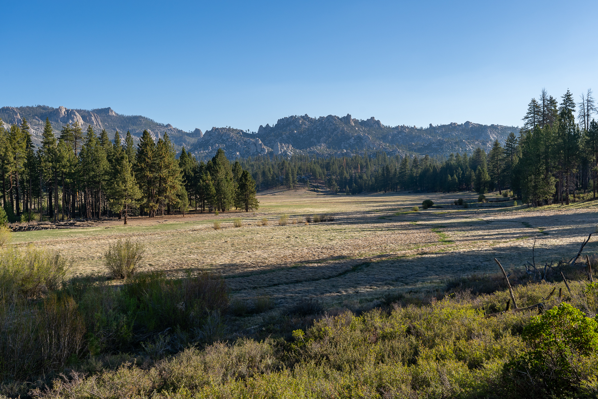 Trip report photo for Rockhouse Peak and Taylor Dome