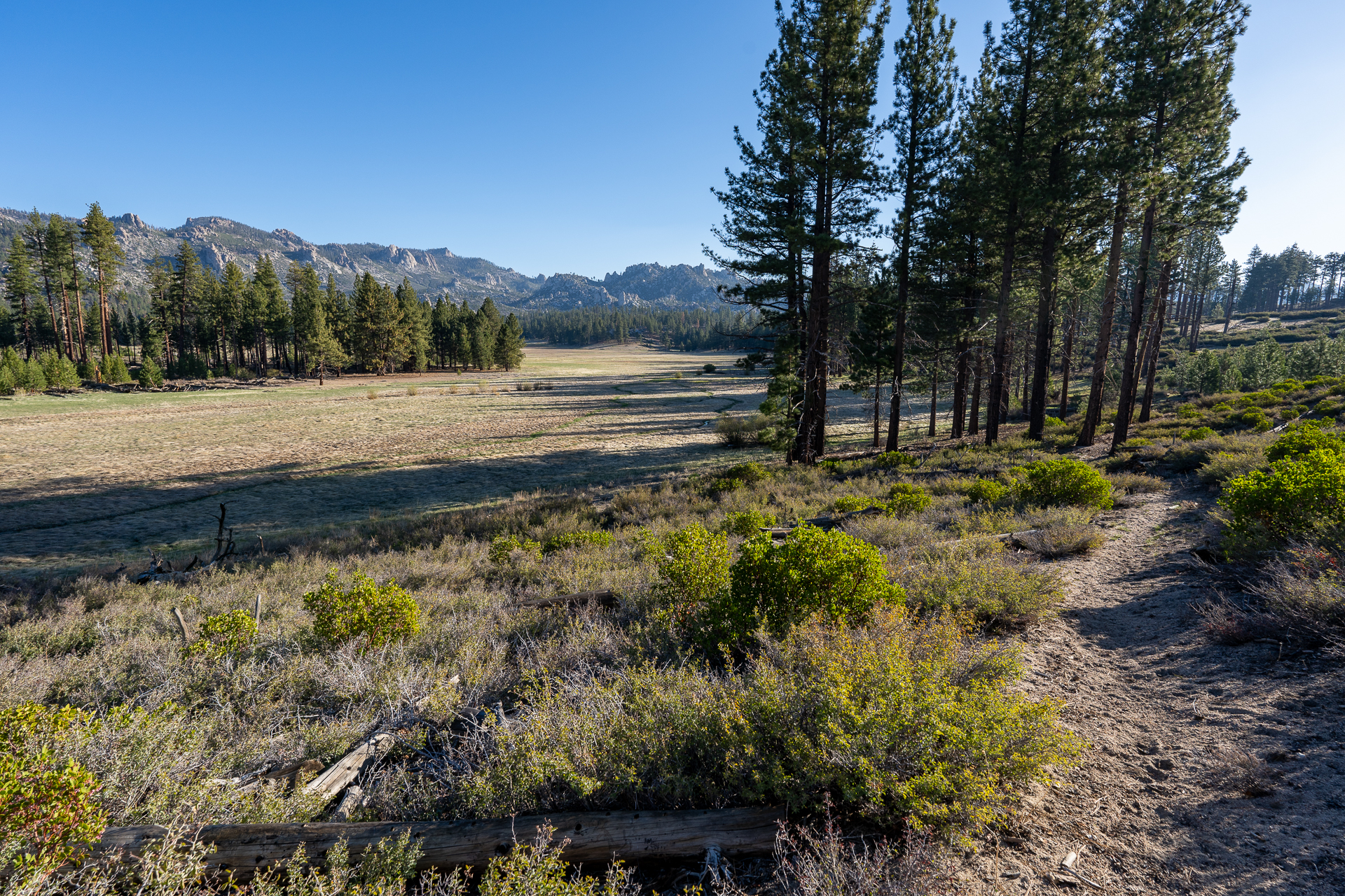 Trip report photo for Rockhouse Peak and Taylor Dome