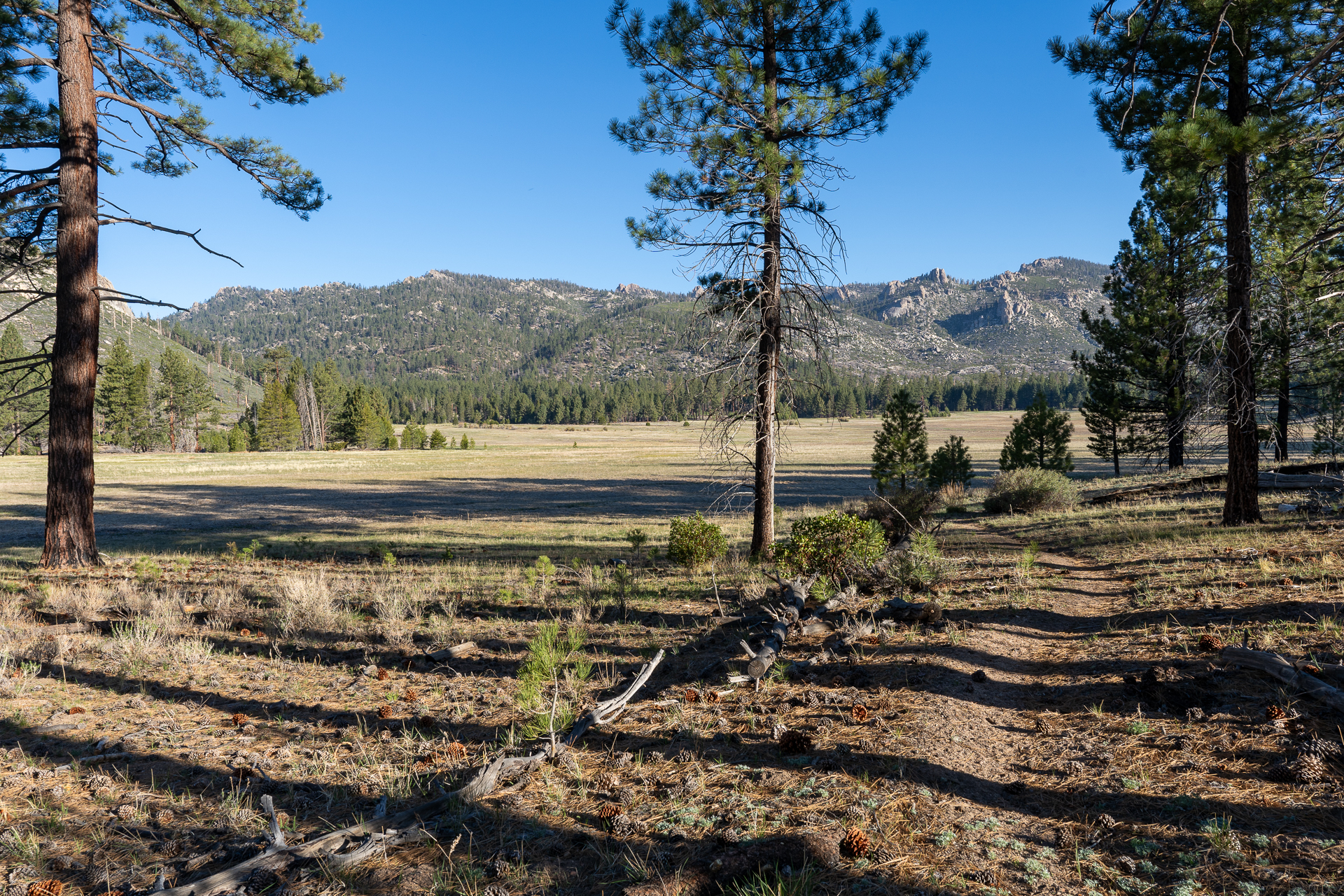 Trip report photo for Rockhouse Peak and Taylor Dome