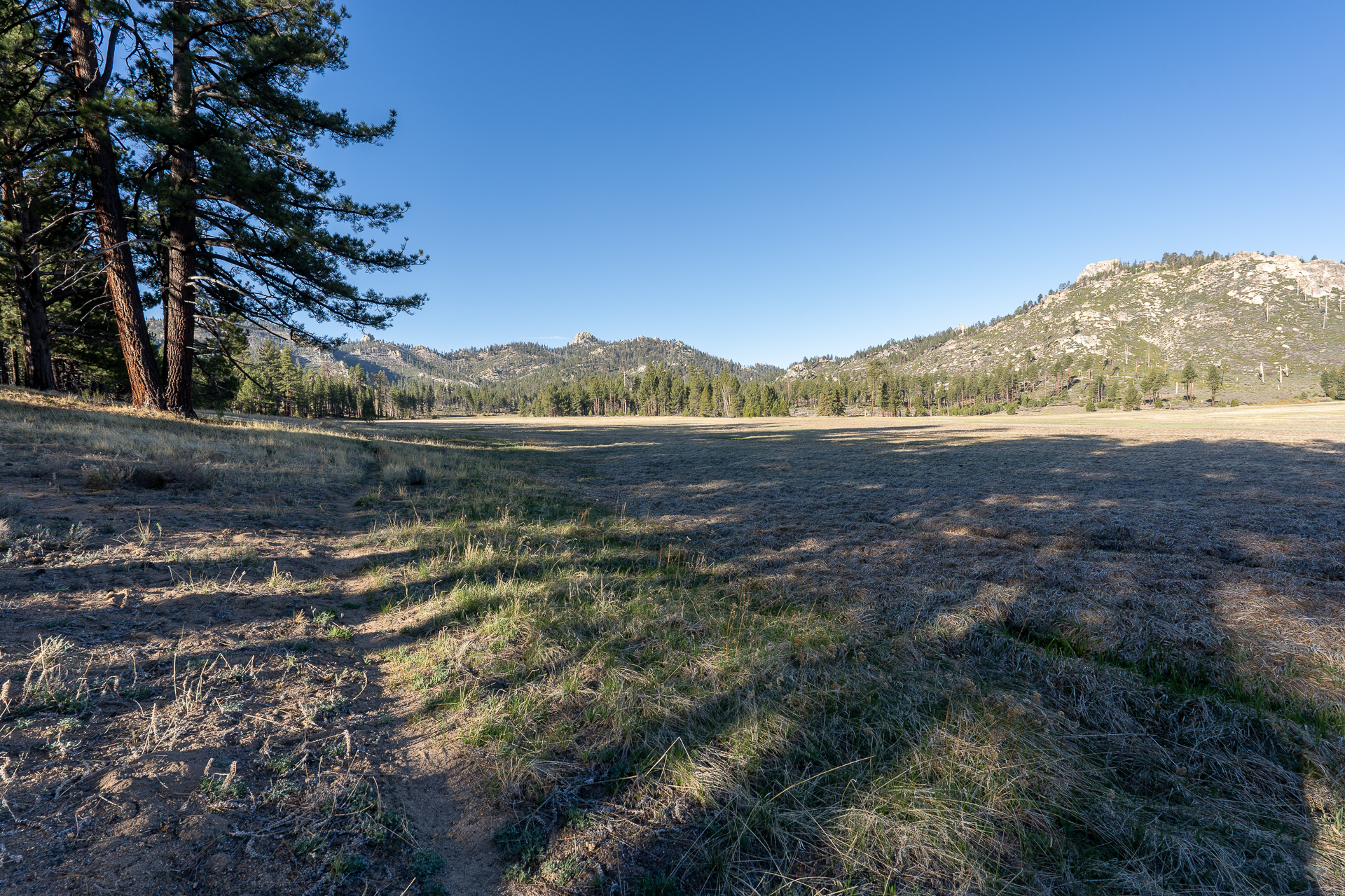 Trip report photo for Rockhouse Peak and Taylor Dome