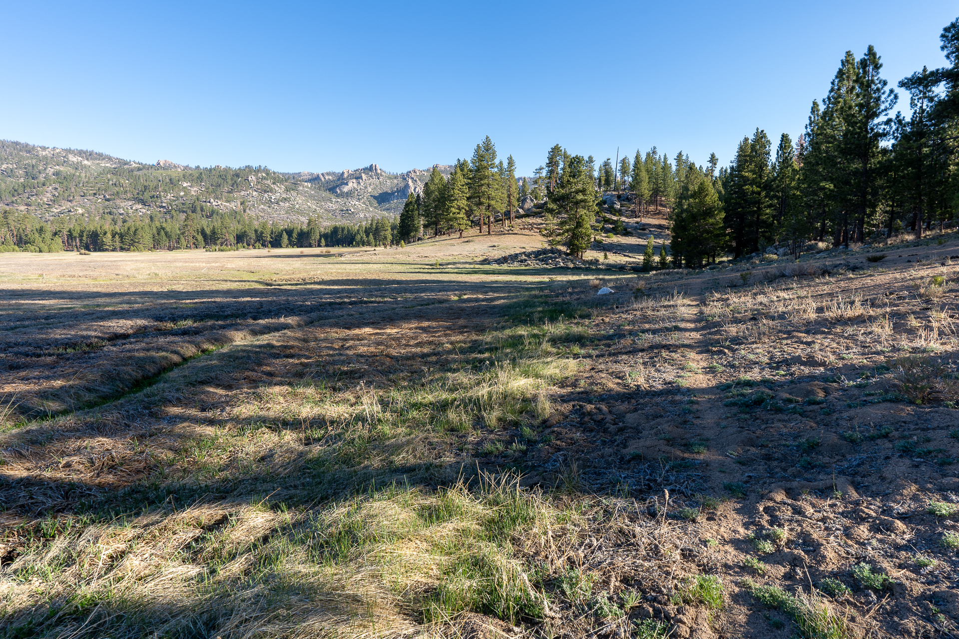 Trip report photo for Rockhouse Peak and Taylor Dome