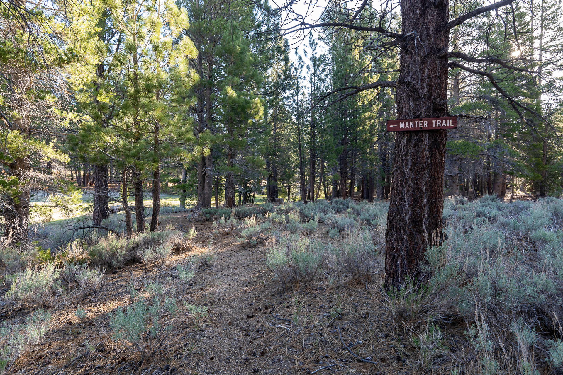 Trip report photo for Rockhouse Peak and Taylor Dome