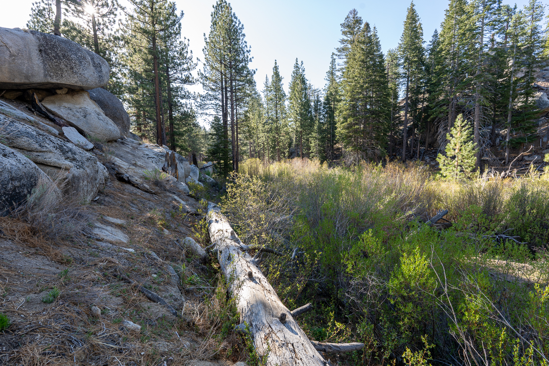 Trip report photo for Rockhouse Peak and Taylor Dome