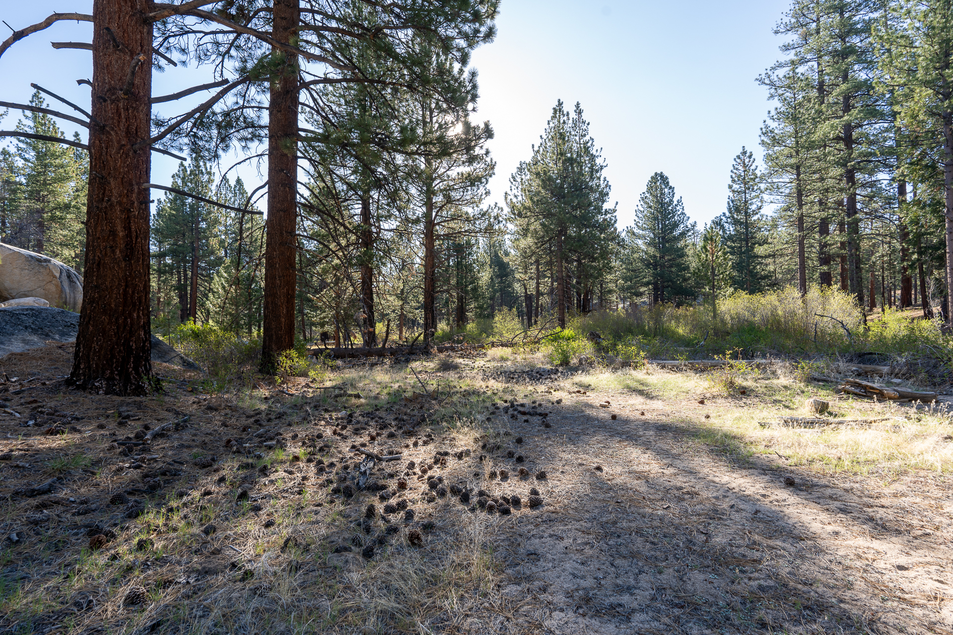 Trip report photo for Rockhouse Peak and Taylor Dome