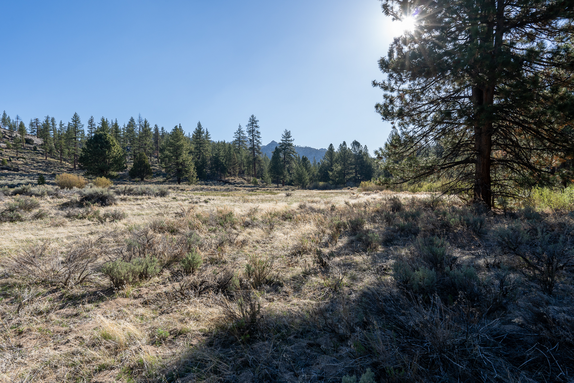 Trip report photo for Rockhouse Peak and Taylor Dome
