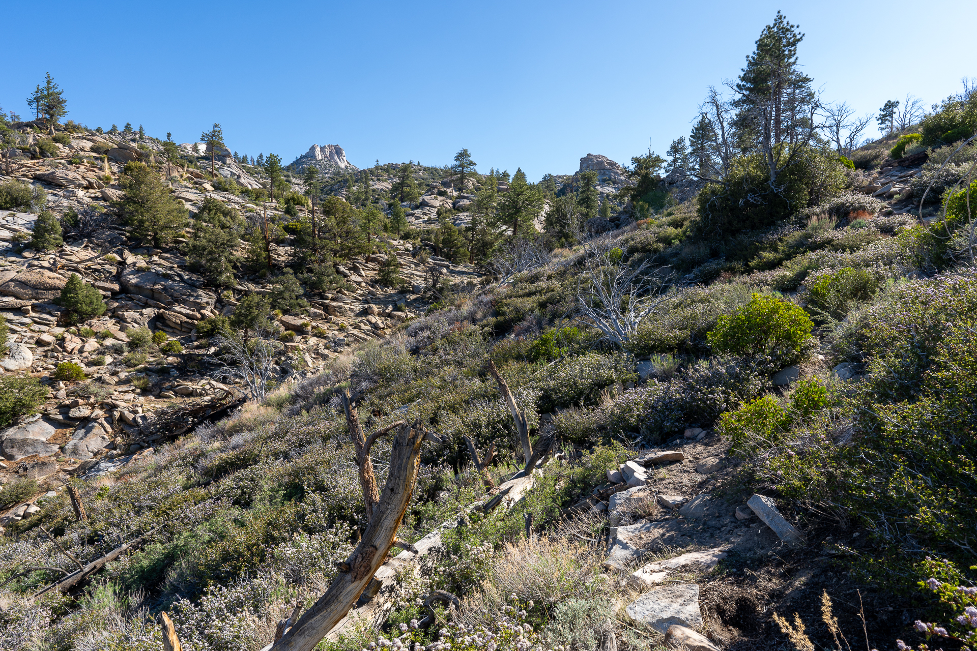 Trip report photo for Rockhouse Peak and Taylor Dome