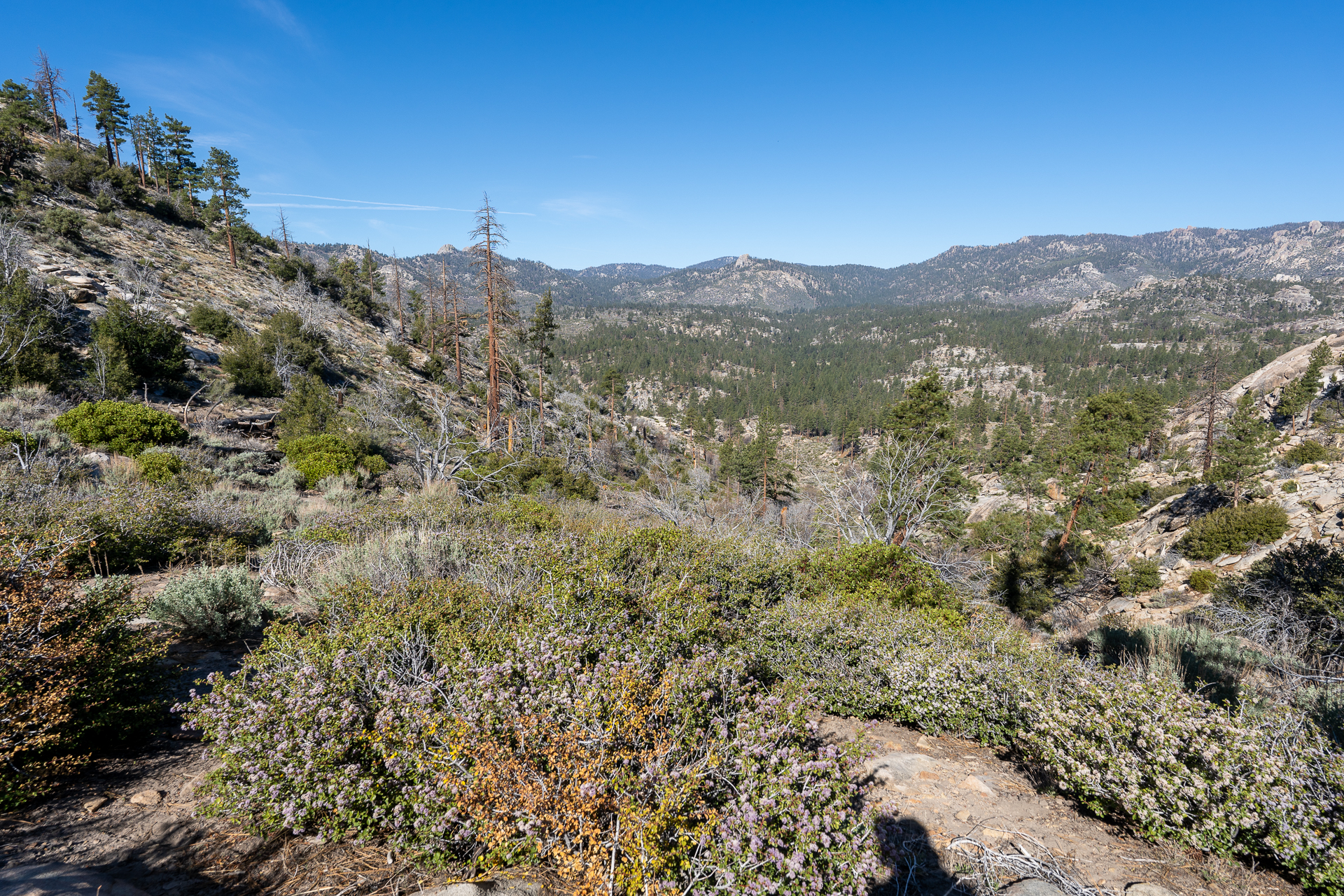 Trip report photo for Rockhouse Peak and Taylor Dome