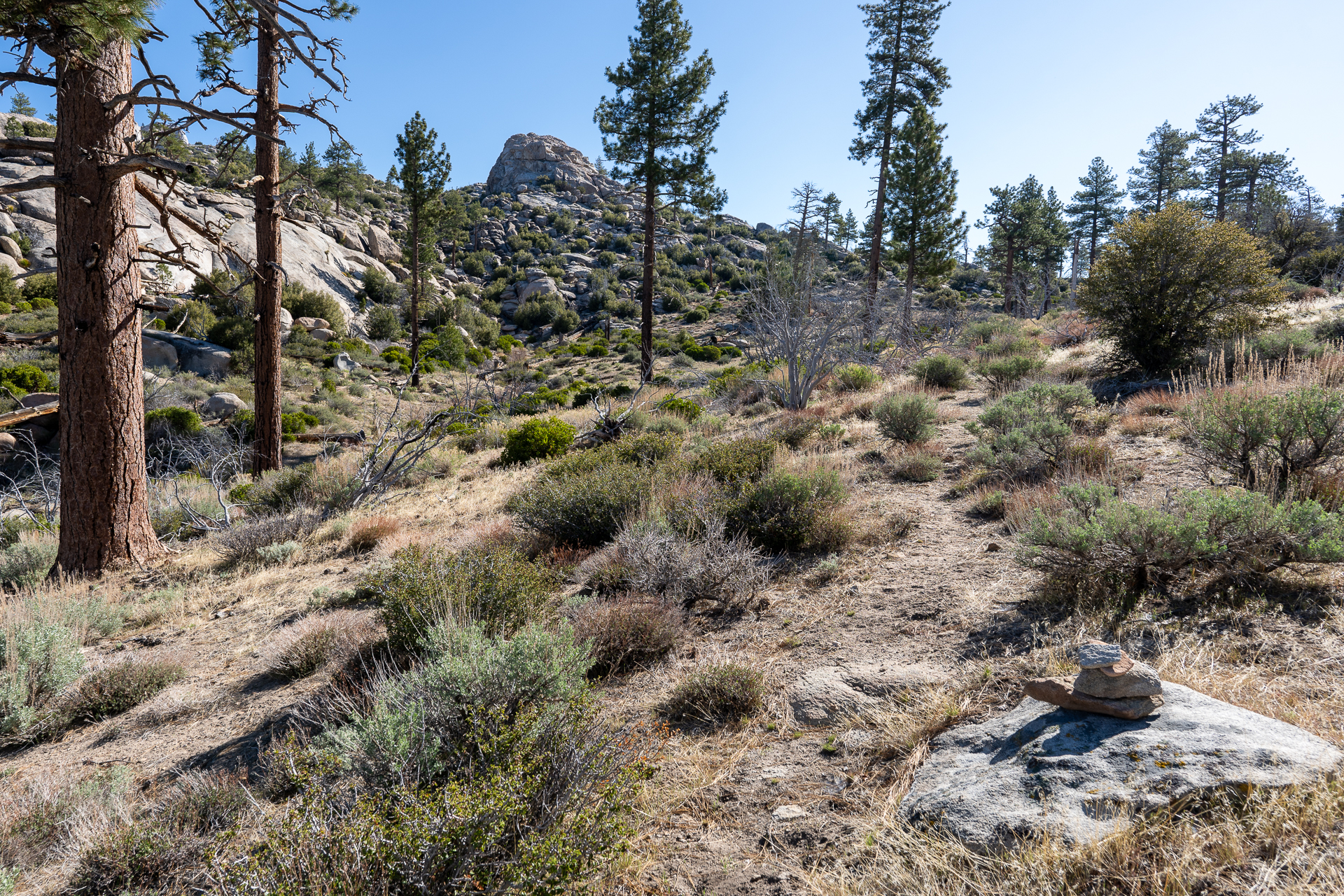 Trip report photo for Rockhouse Peak and Taylor Dome