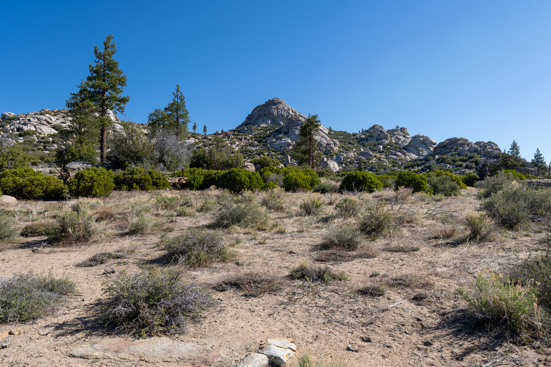 Trip report photo for Rockhouse Peak and Taylor Dome