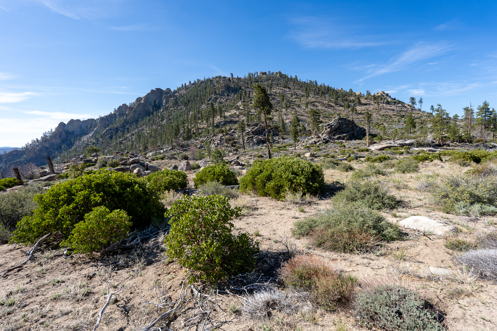 Trip report photo for Rockhouse Peak and Taylor Dome