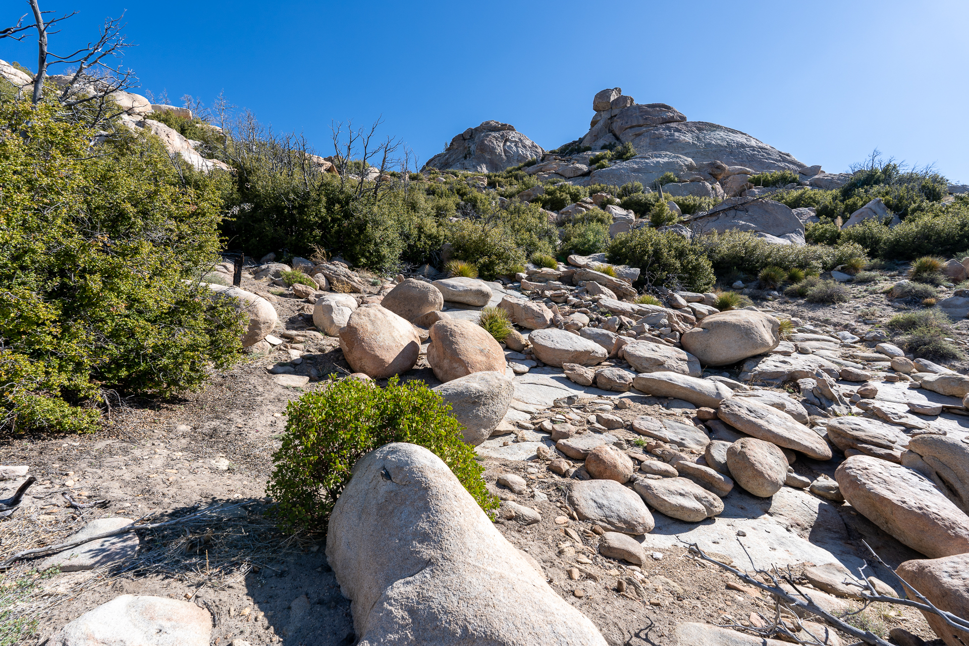 Trip report photo for Rockhouse Peak and Taylor Dome