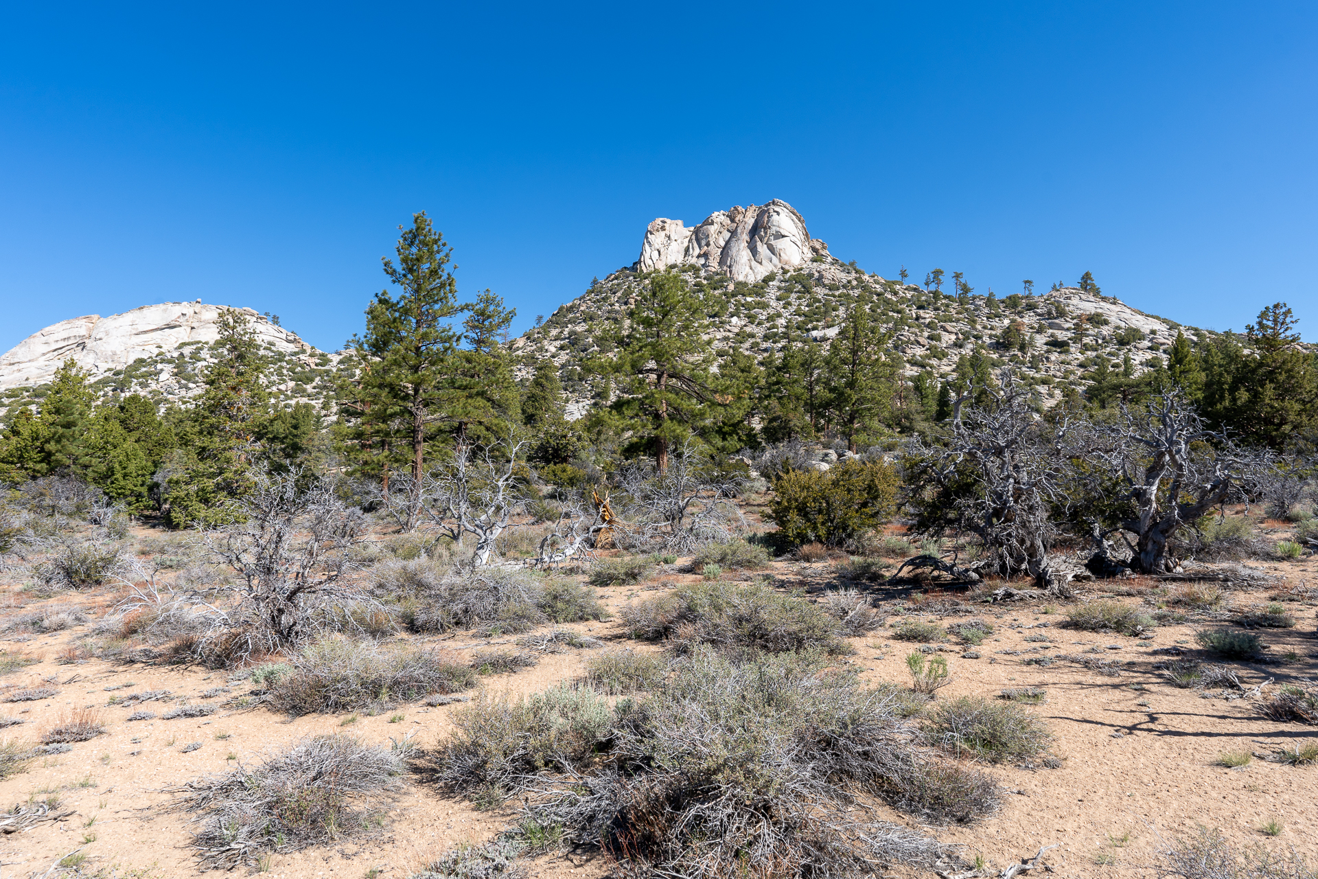 Trip report photo for Rockhouse Peak and Taylor Dome