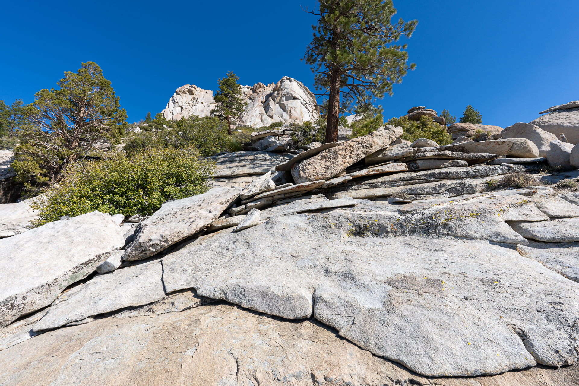 Trip report photo for Rockhouse Peak and Taylor Dome