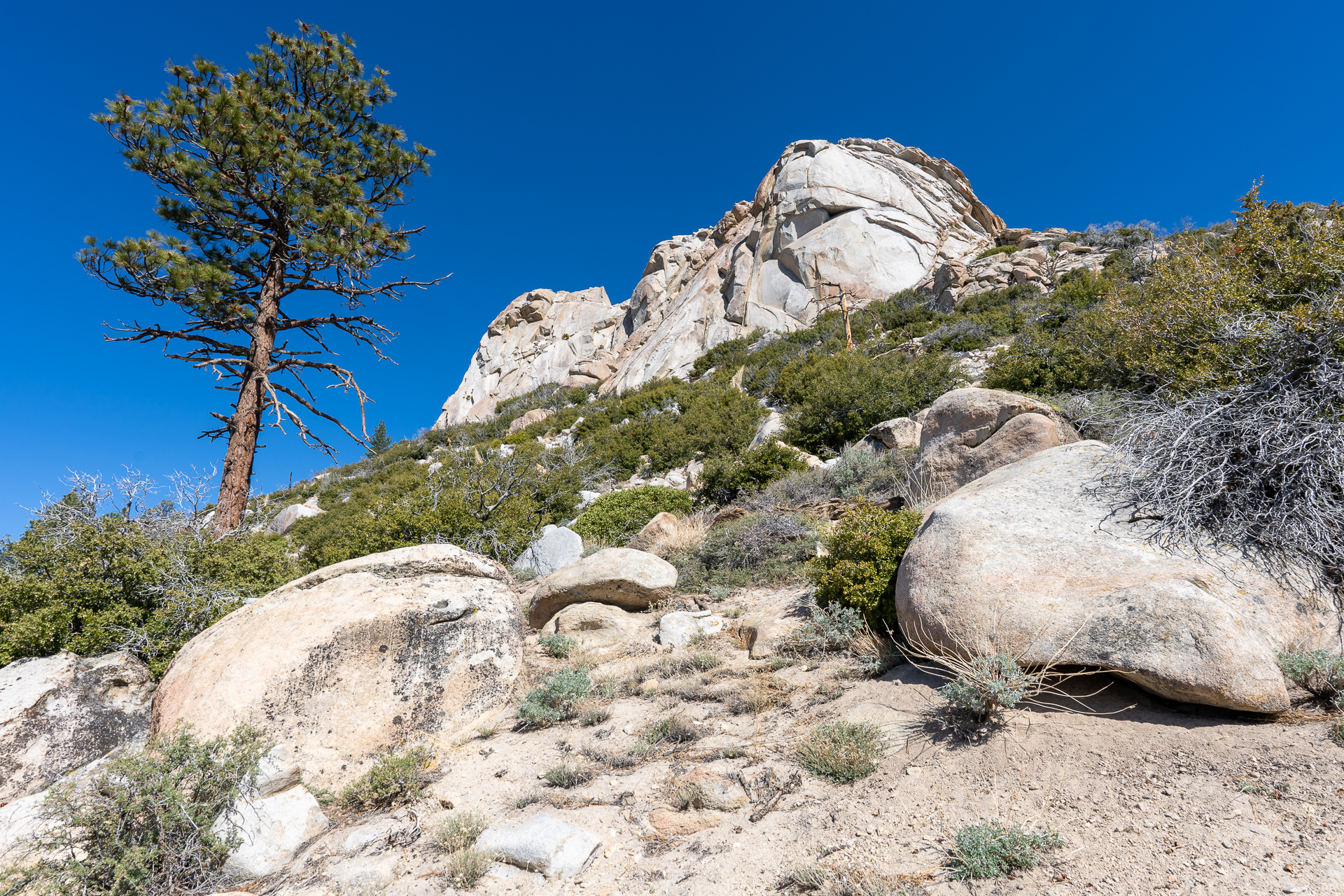 Trip report photo for Rockhouse Peak and Taylor Dome