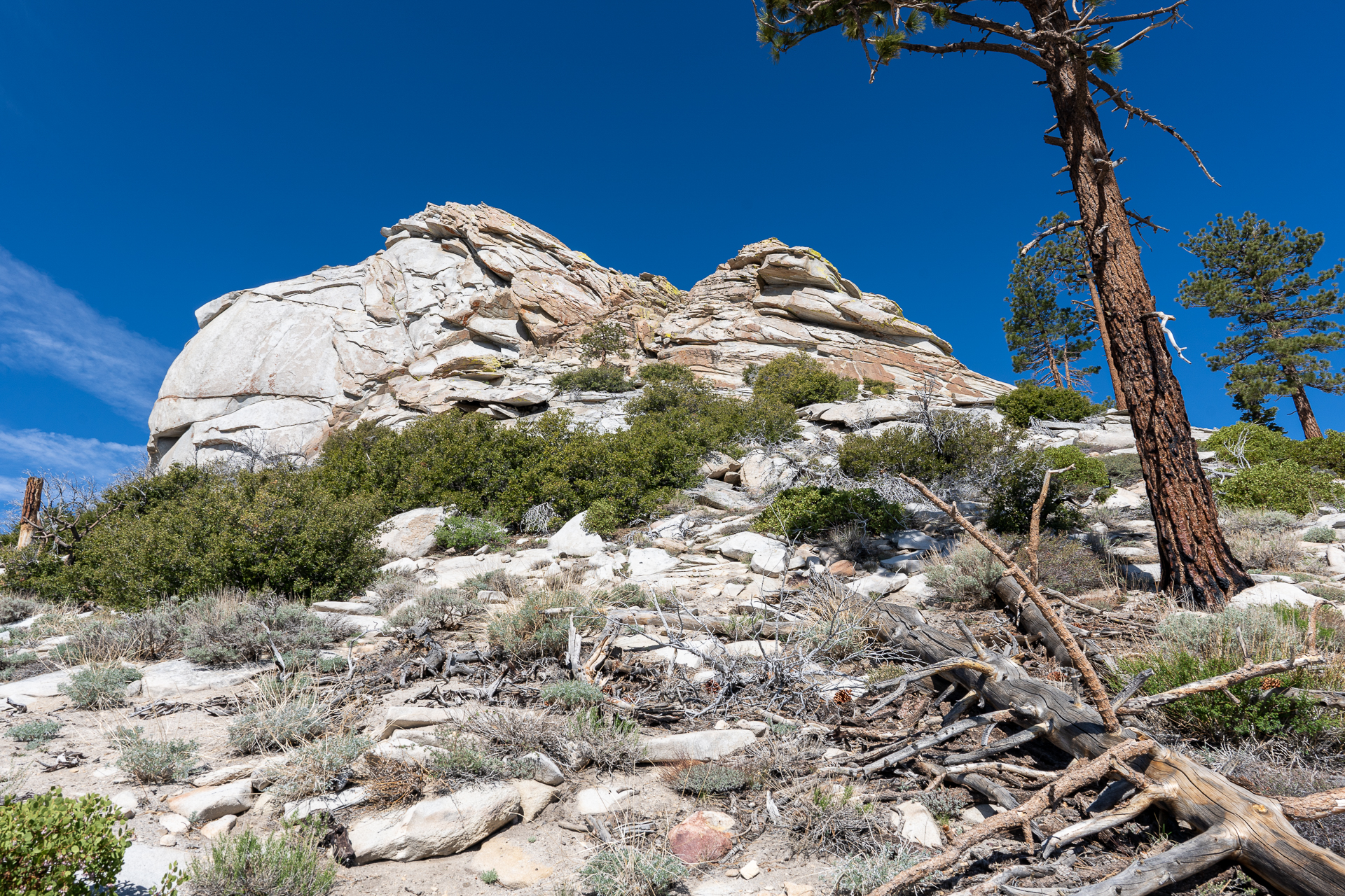 Trip report photo for Rockhouse Peak and Taylor Dome
