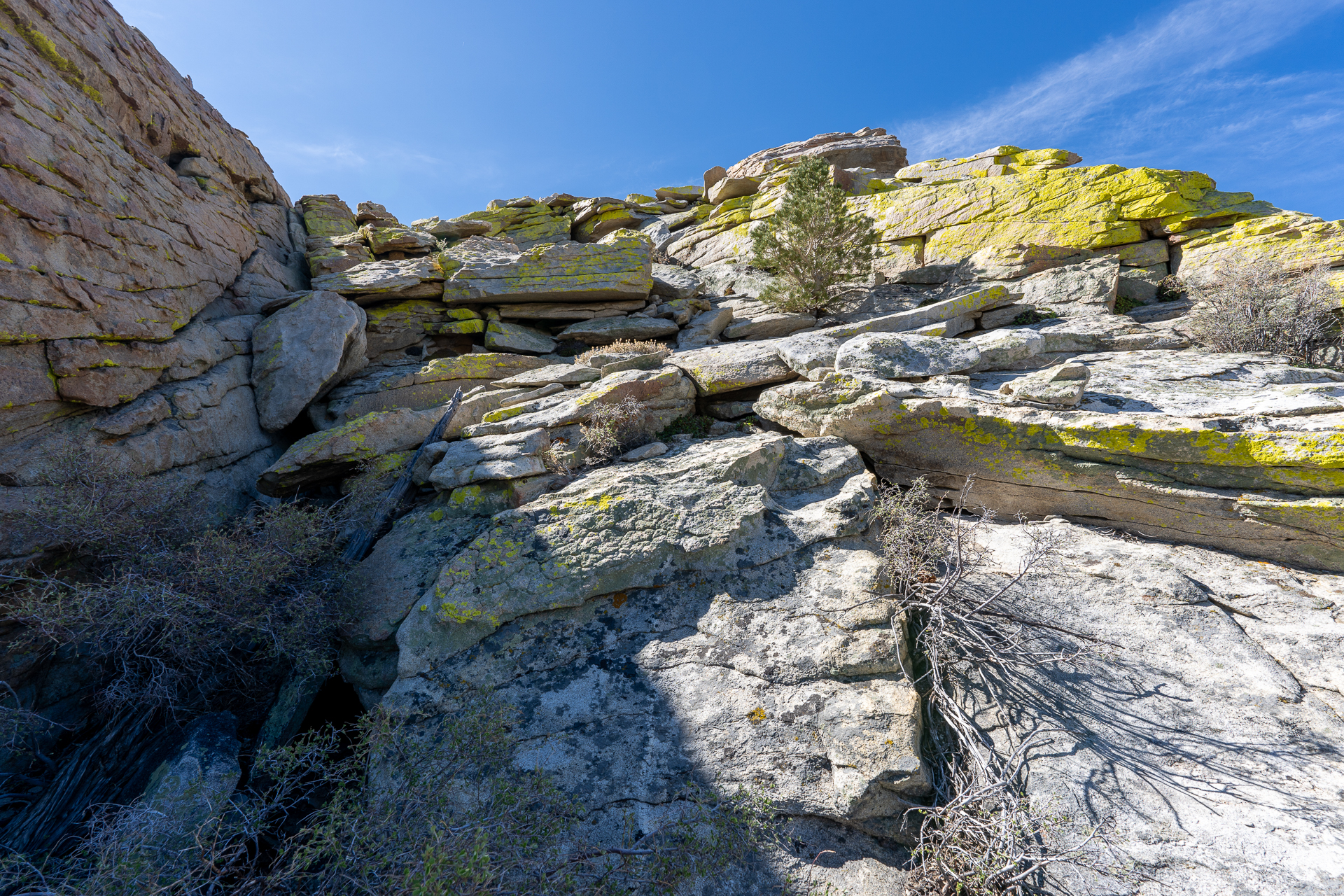 Trip report photo for Rockhouse Peak and Taylor Dome