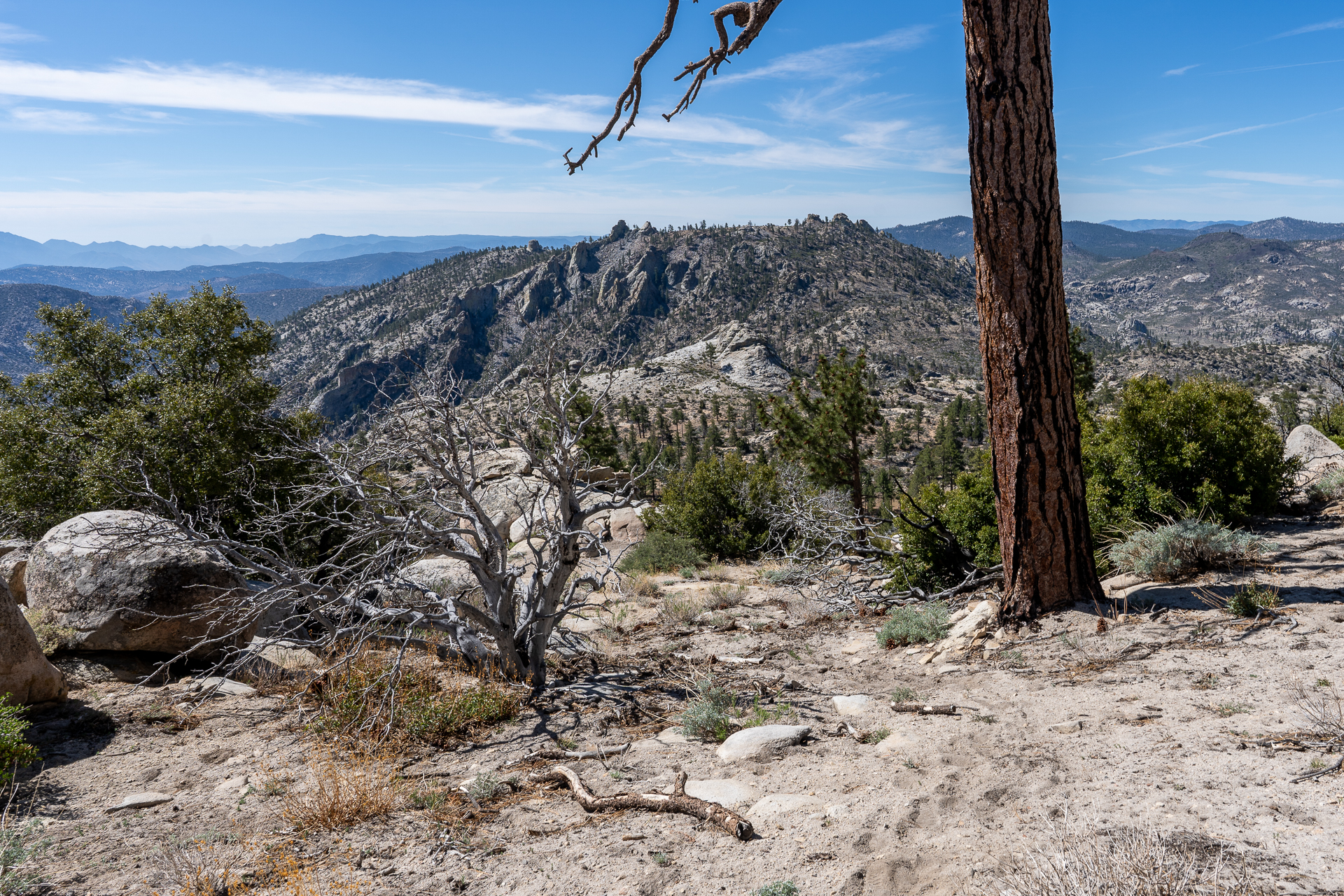 Trip report photo for Rockhouse Peak and Taylor Dome