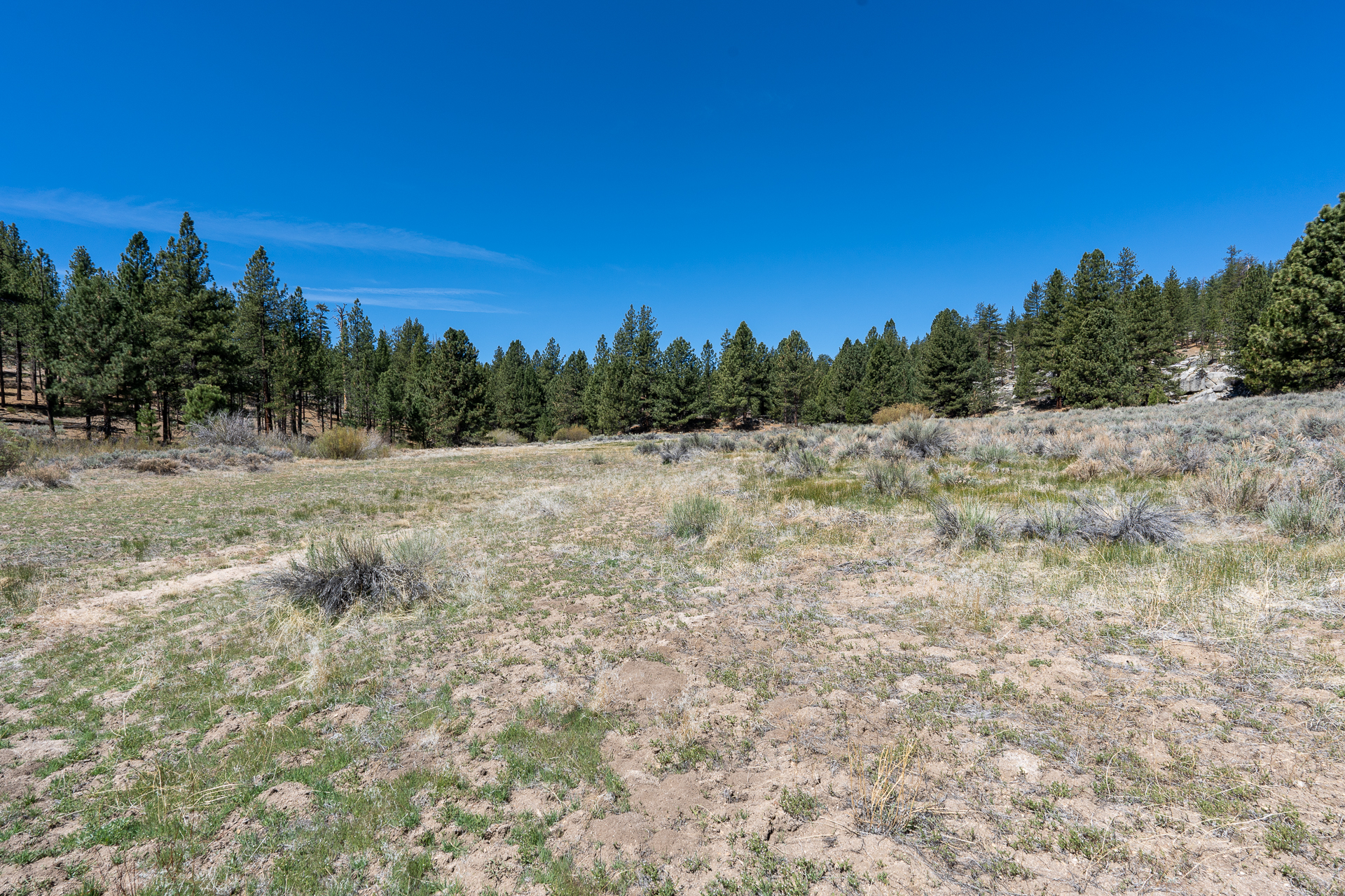 Trip report photo for Rockhouse Peak and Taylor Dome
