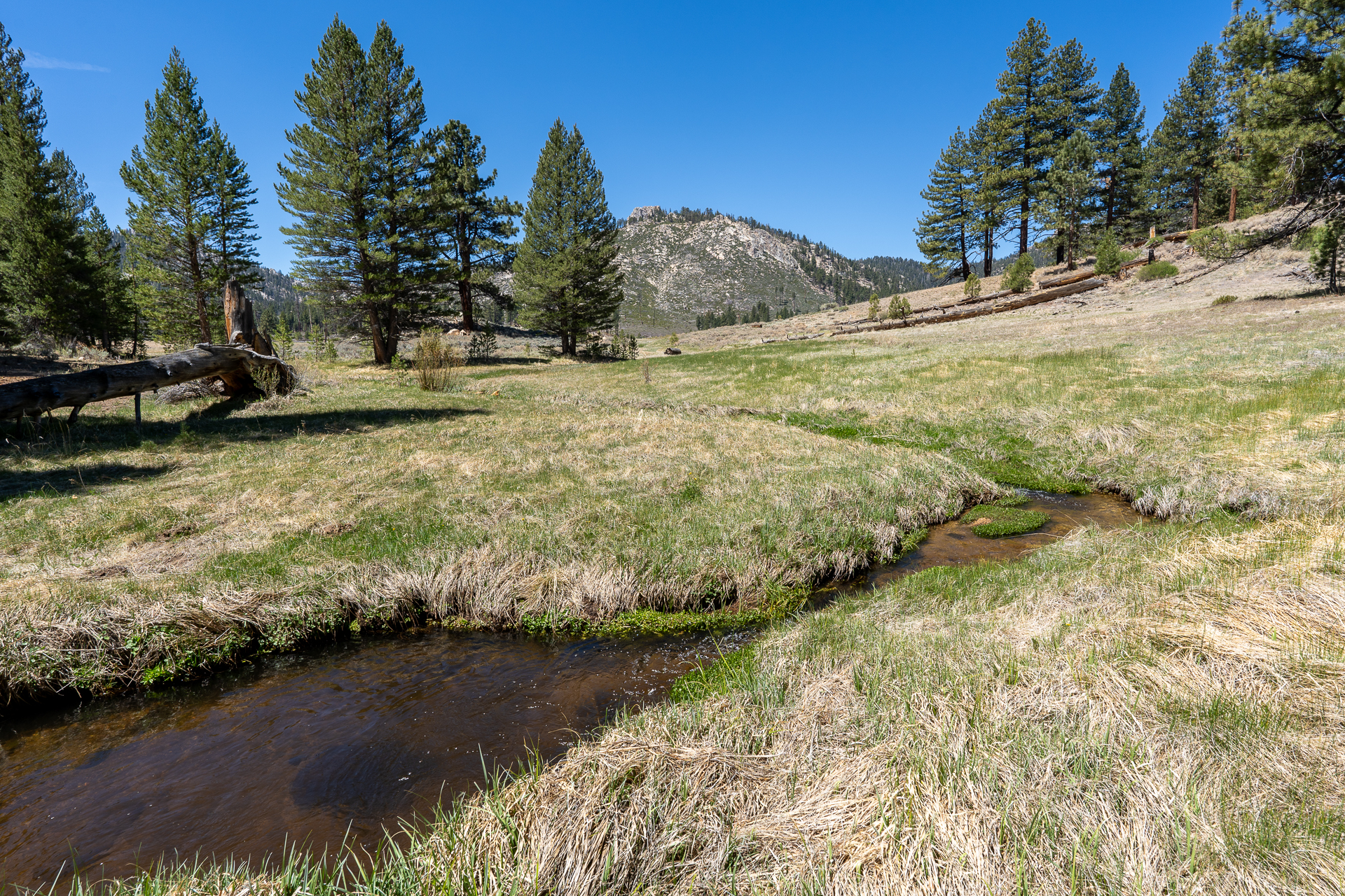 Trip report photo for Rockhouse Peak and Taylor Dome