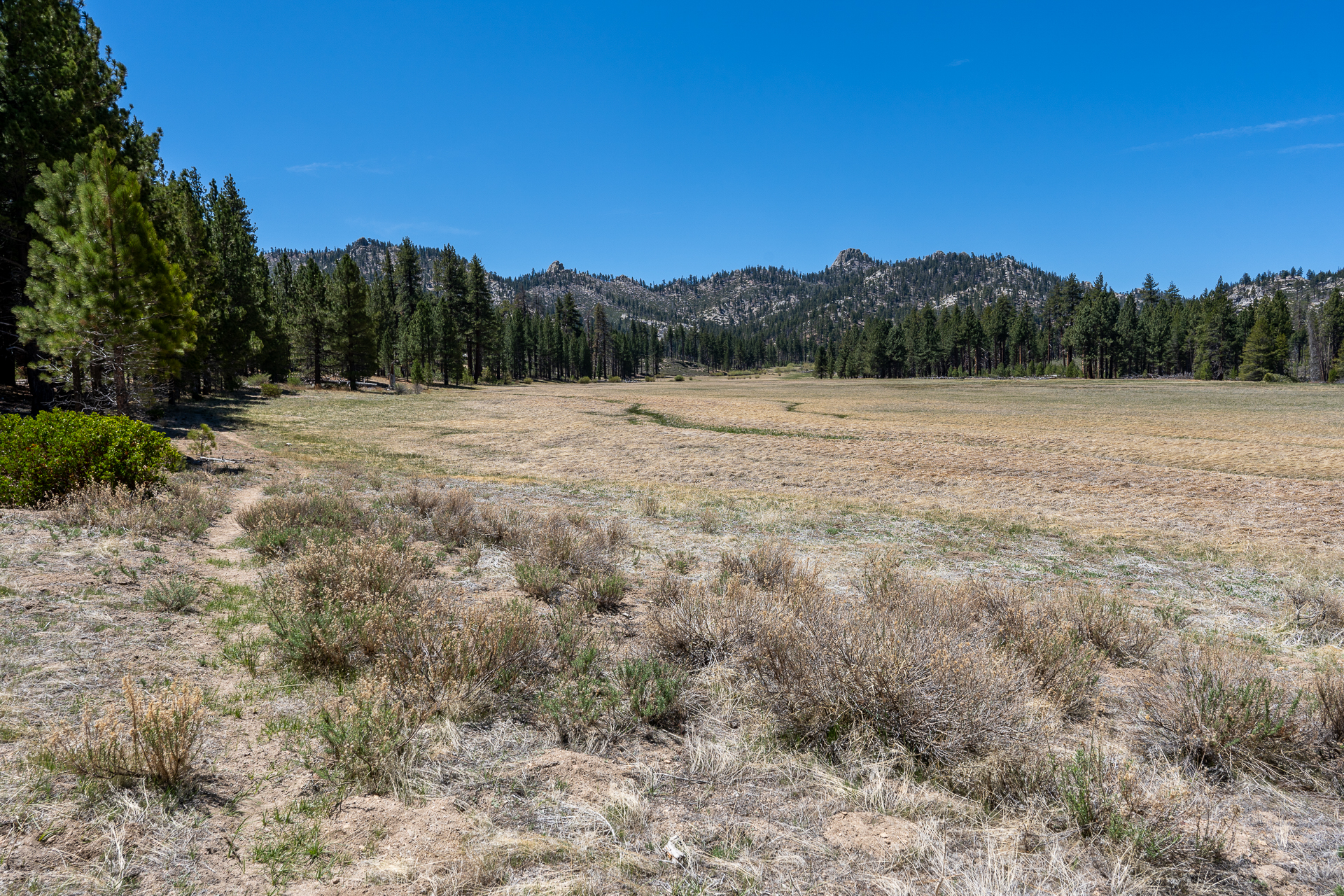 Trip report photo for Rockhouse Peak and Taylor Dome