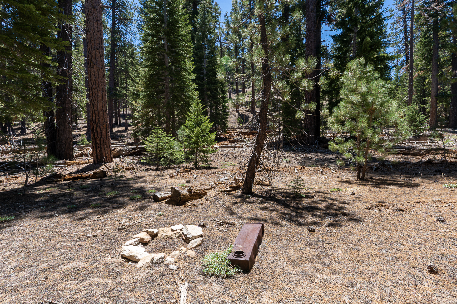 Trip report photo for Rockhouse Peak and Taylor Dome