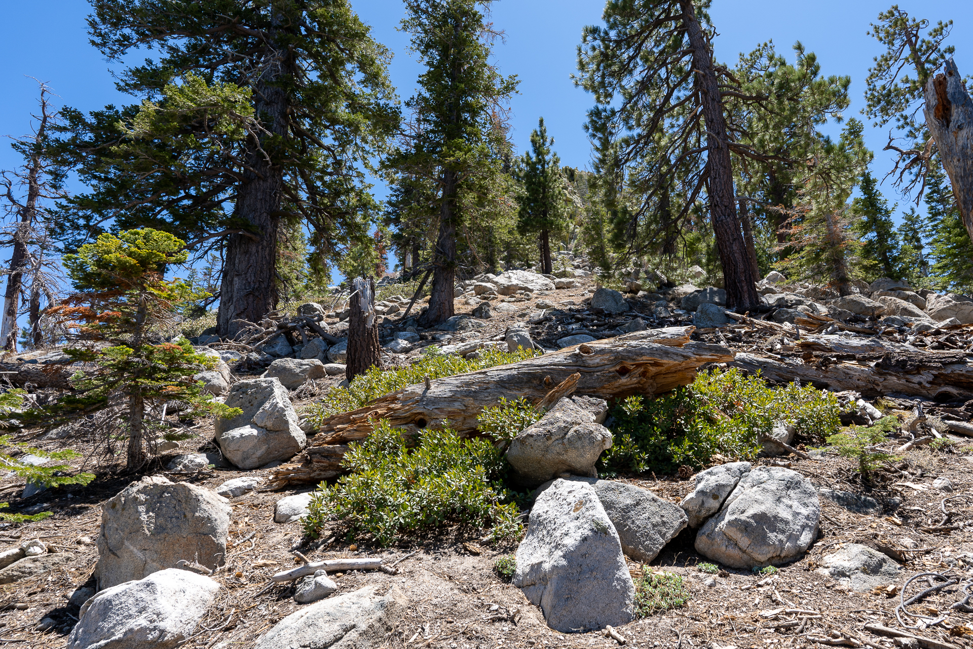 Trip report photo for Rockhouse Peak and Taylor Dome