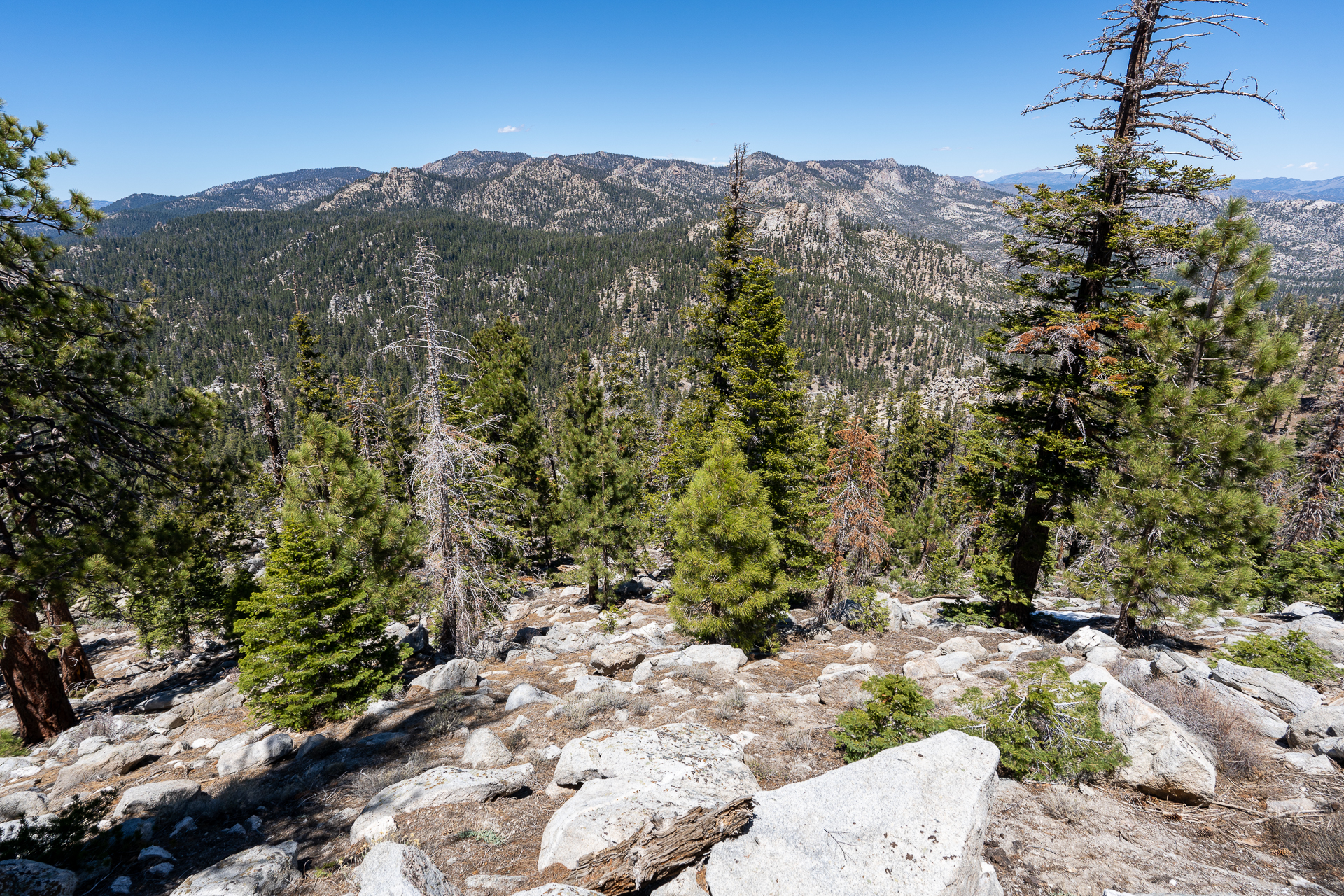 Trip report photo for Rockhouse Peak and Taylor Dome