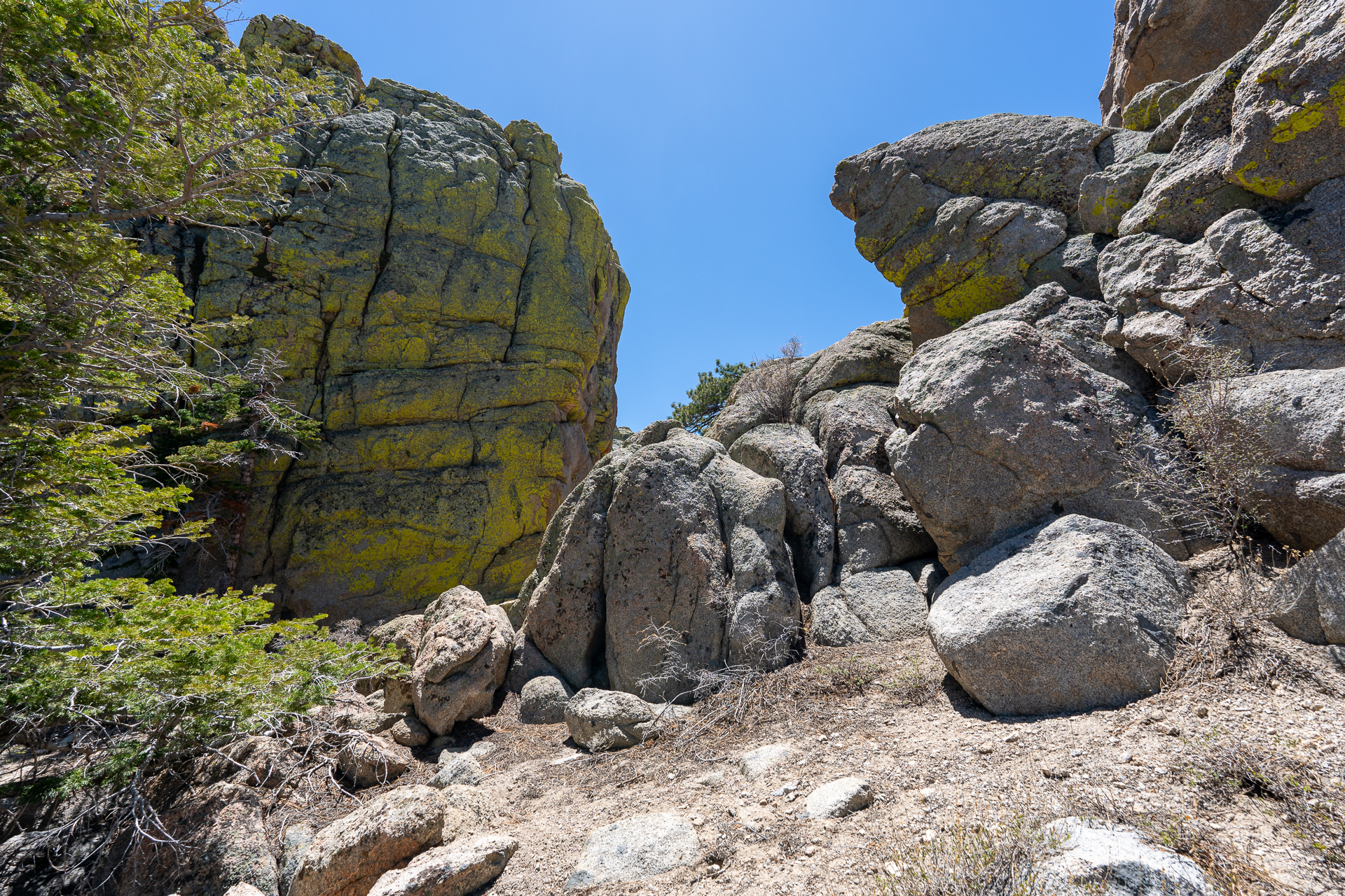Trip report photo for Rockhouse Peak and Taylor Dome