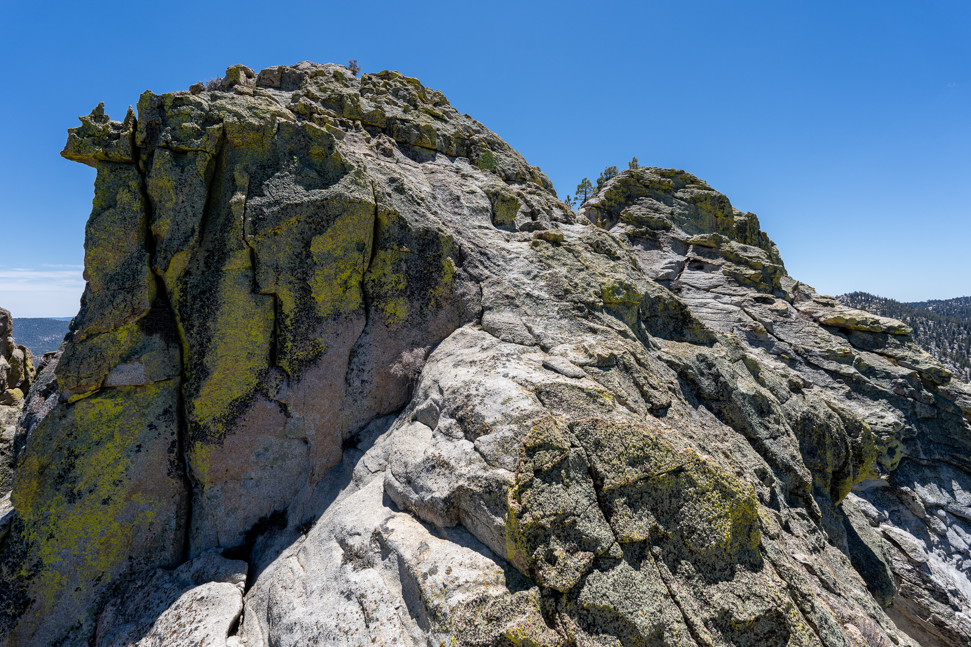 Trip report photo for Rockhouse Peak and Taylor Dome