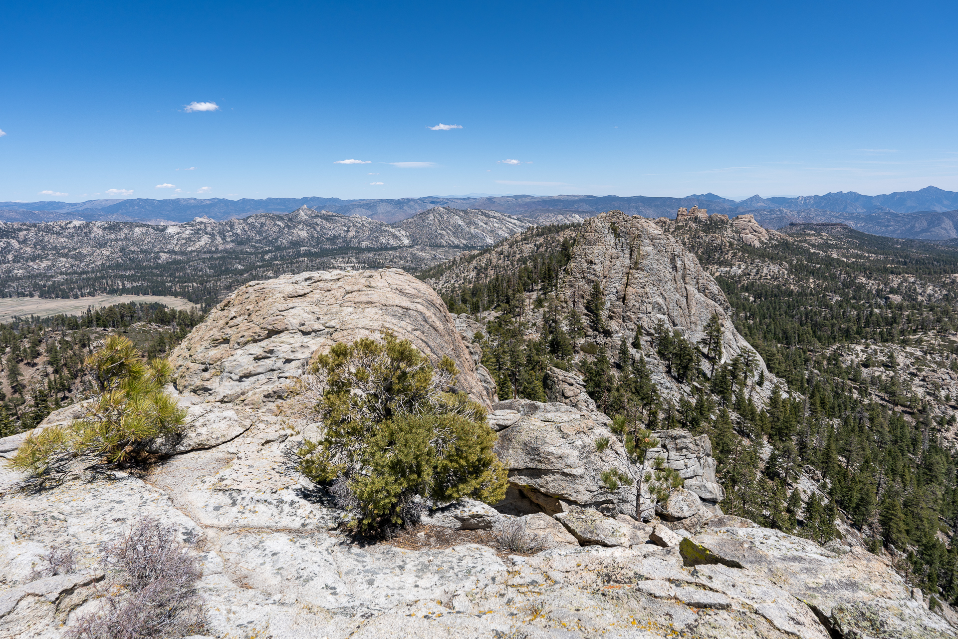Trip report photo for Rockhouse Peak and Taylor Dome