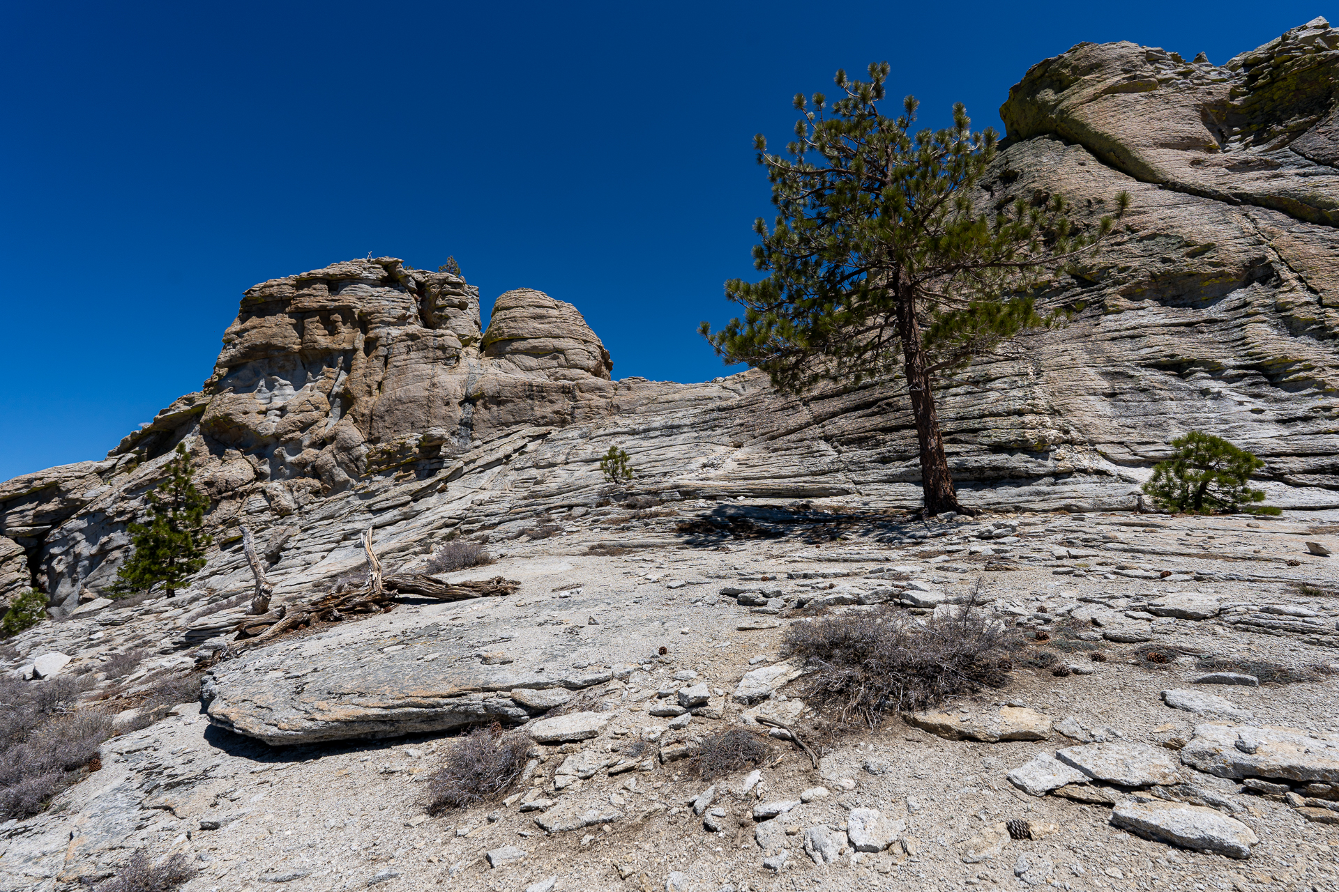 Trip report photo for Rockhouse Peak and Taylor Dome