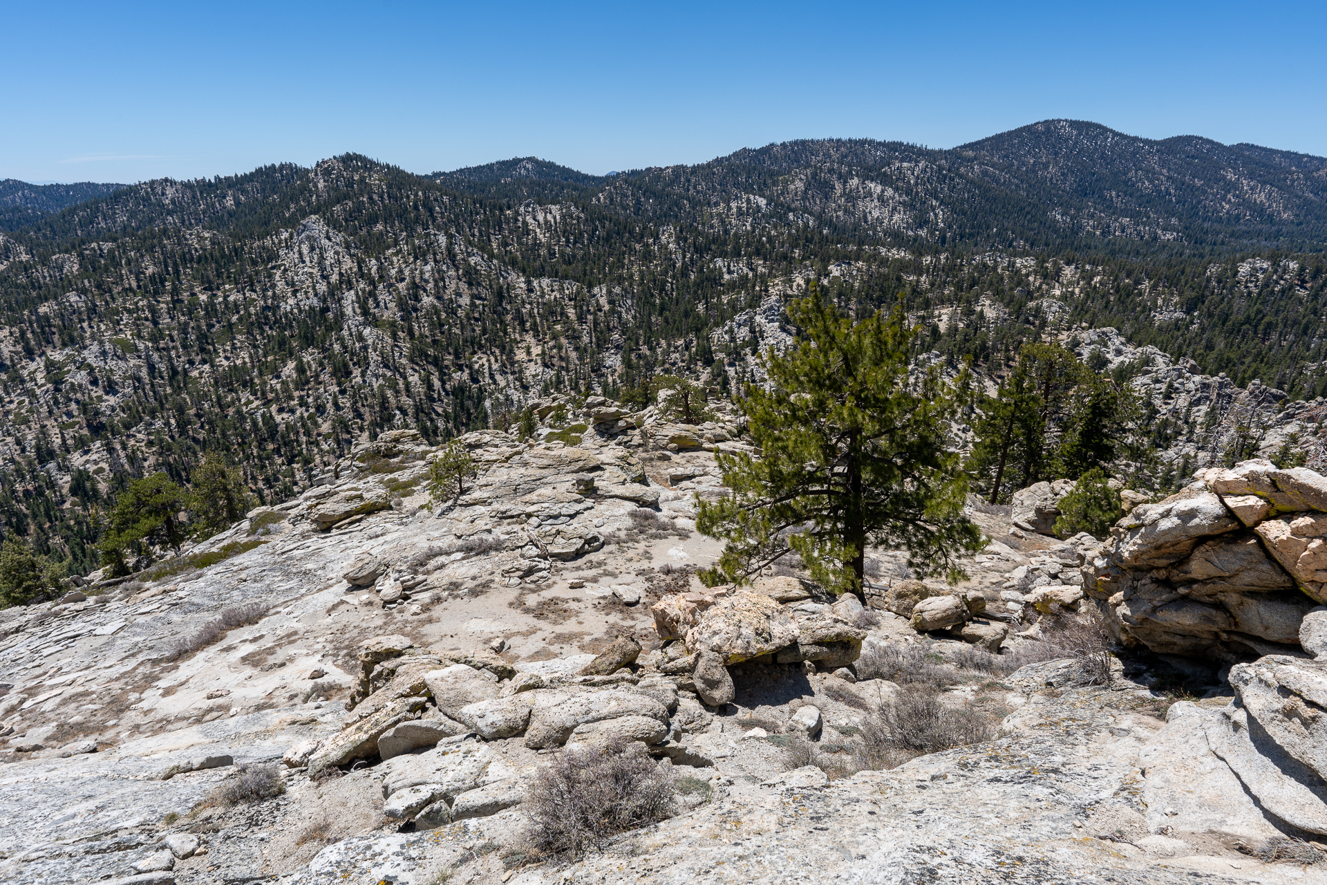 Trip report photo for Rockhouse Peak and Taylor Dome