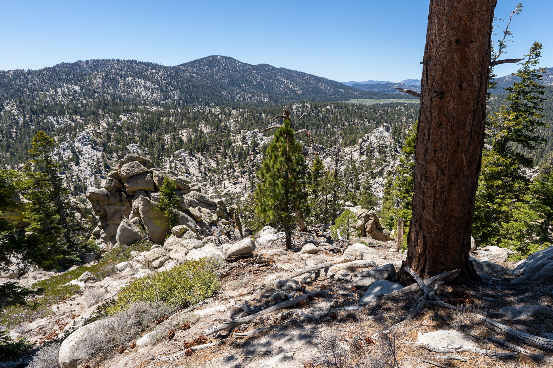 Trip report photo for Rockhouse Peak and Taylor Dome