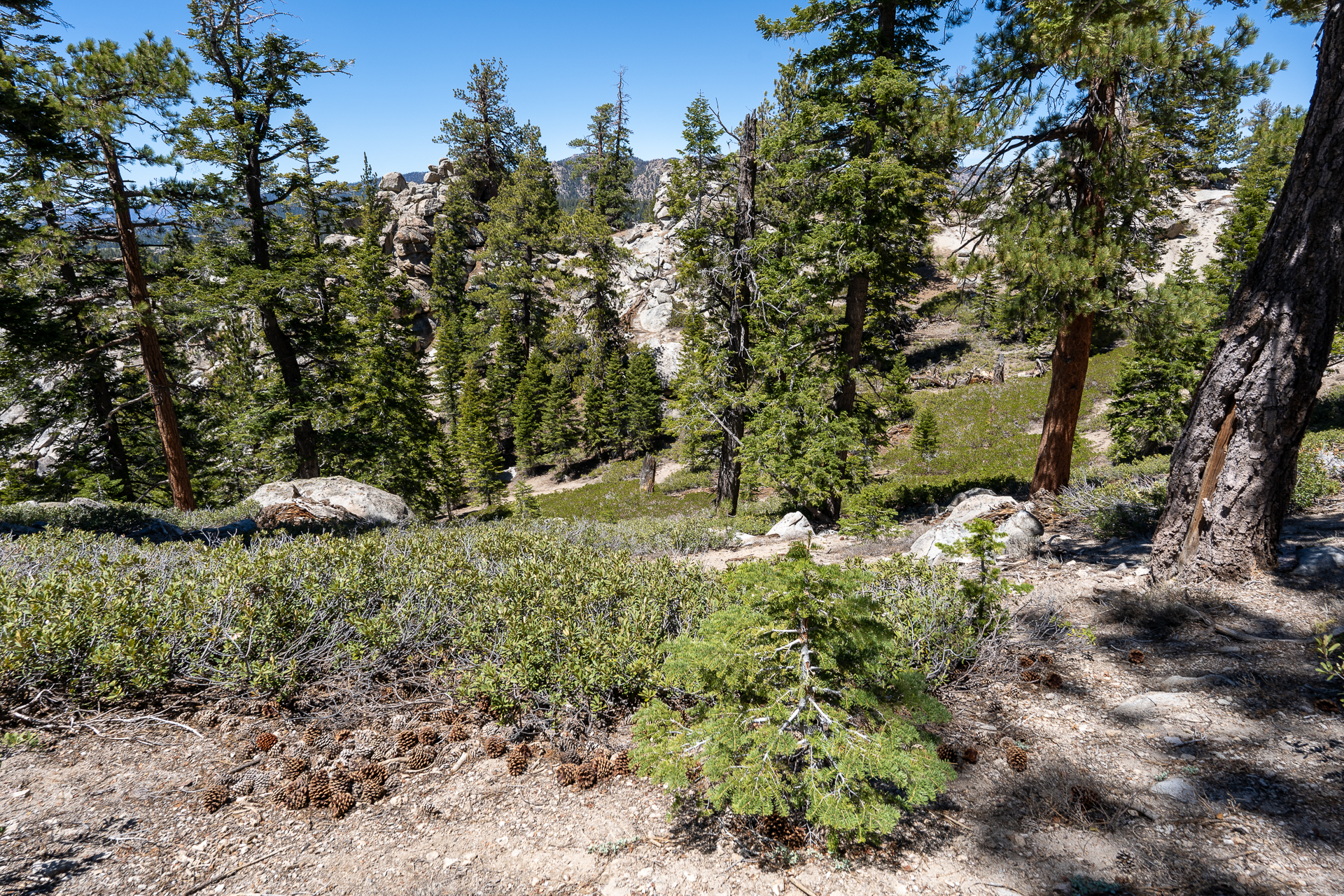 Trip report photo for Rockhouse Peak and Taylor Dome