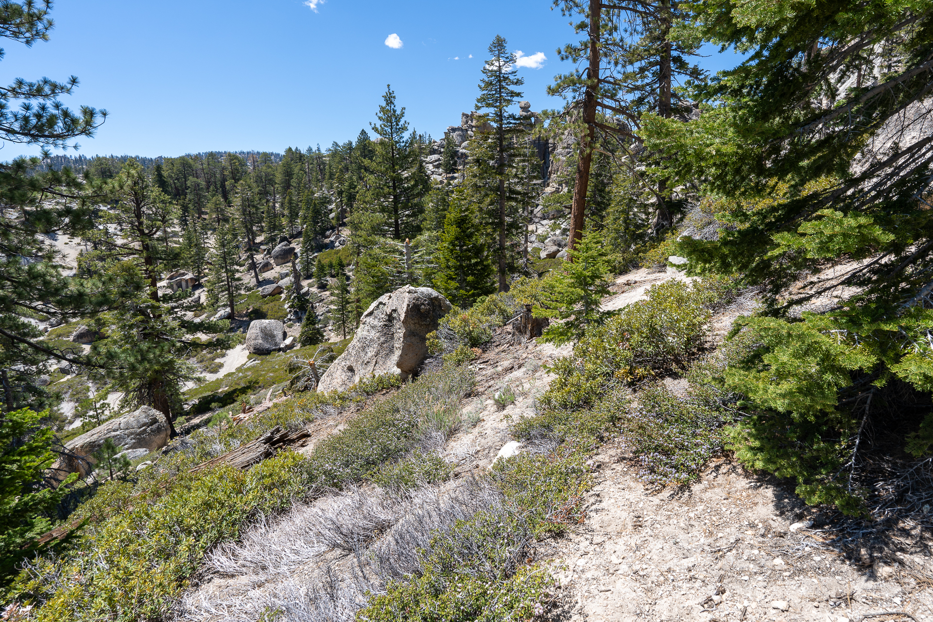 Trip report photo for Rockhouse Peak and Taylor Dome
