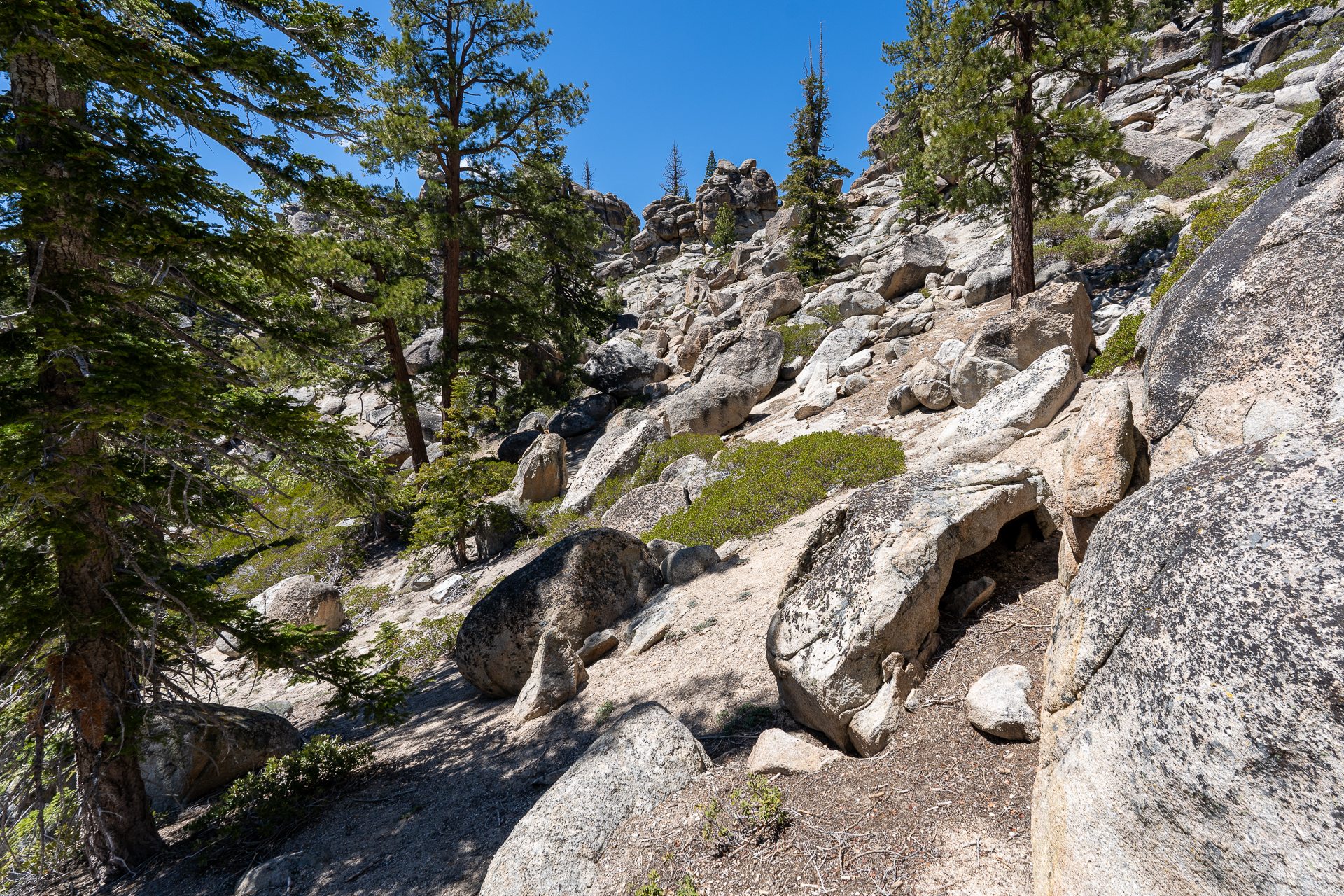 Trip report photo for Rockhouse Peak and Taylor Dome